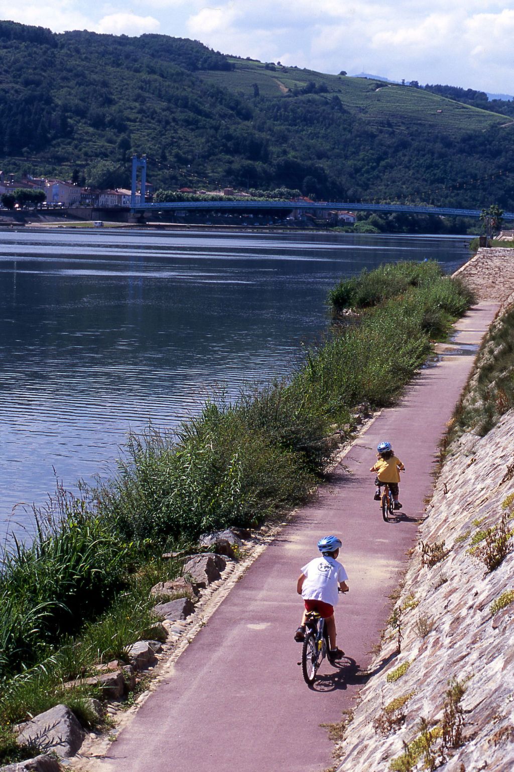 Die Ufer der Rhone-Image-tags.info