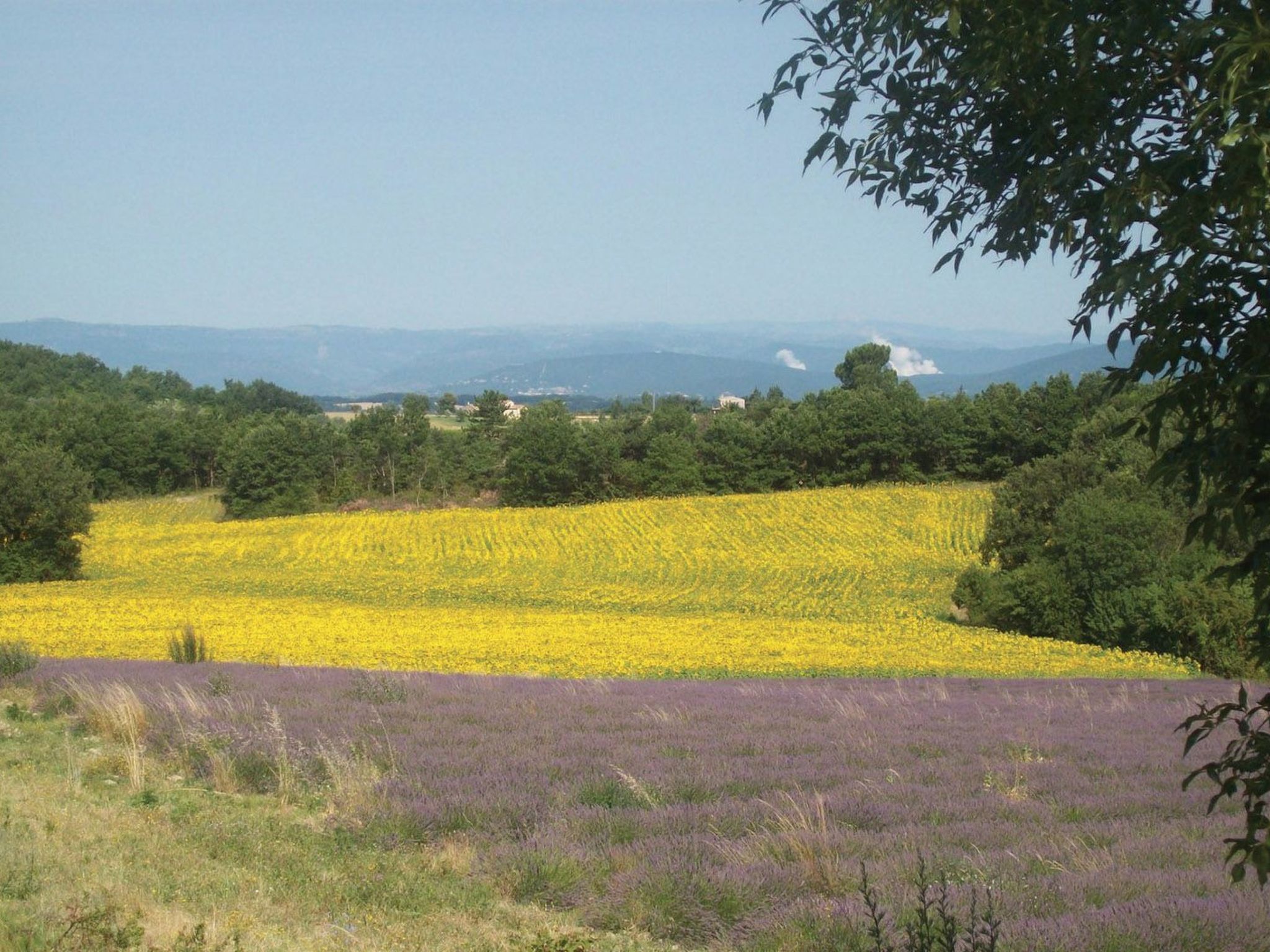 GITE im Herzen der Drôme Provençale-Image-tags.info