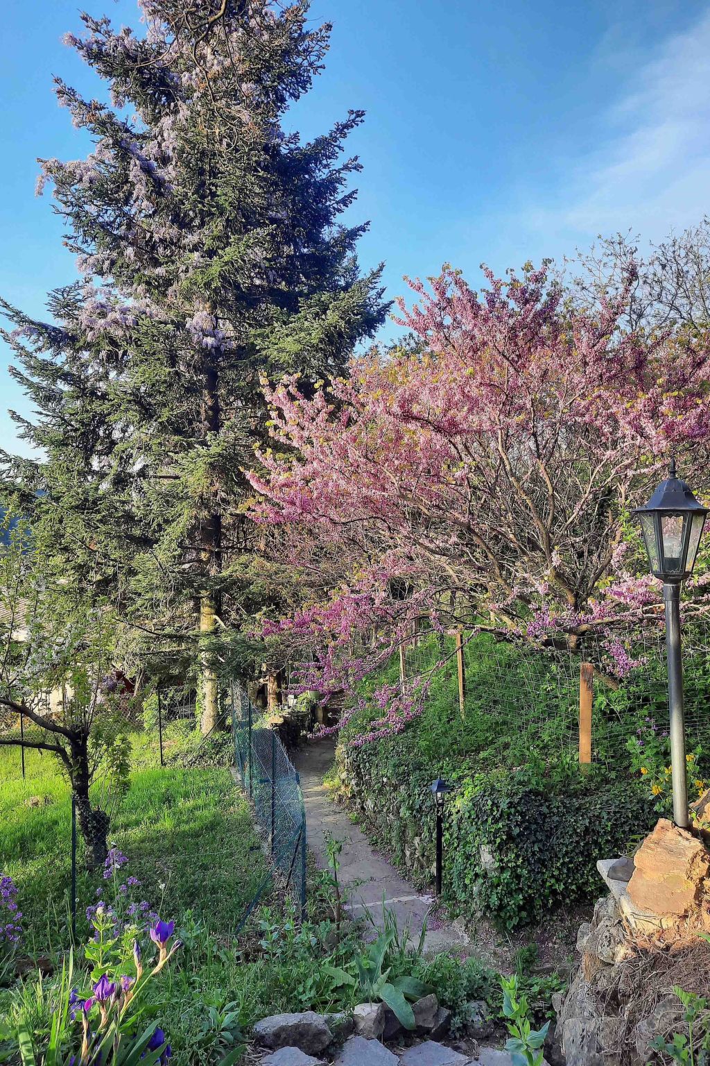 Klimatisiertes Ferienhaus mit Pool-Binnen