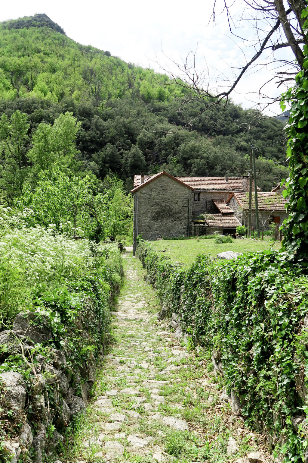 Place