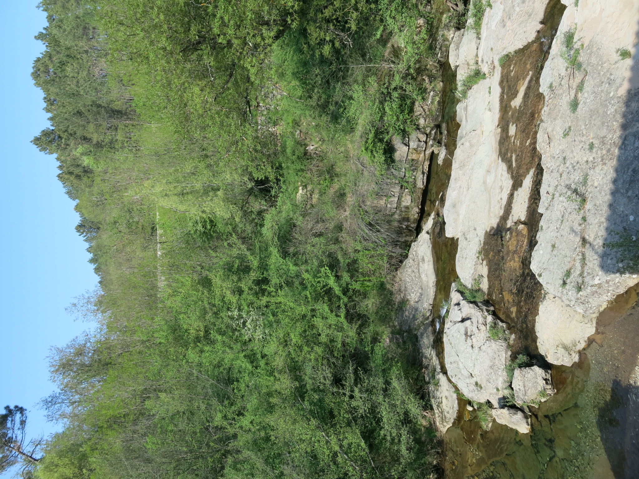 Maison Le Moulin – Environs, photo 23 sur 27
