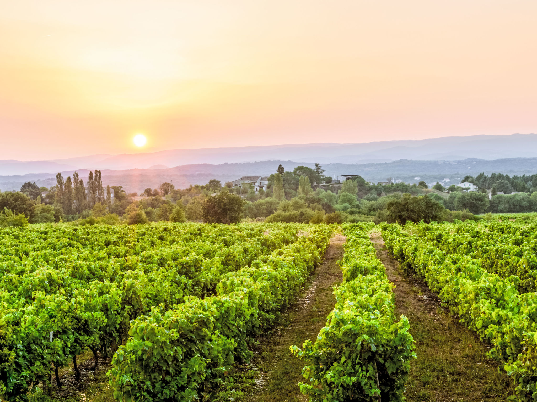 Domaine de Sévenier-Draußen