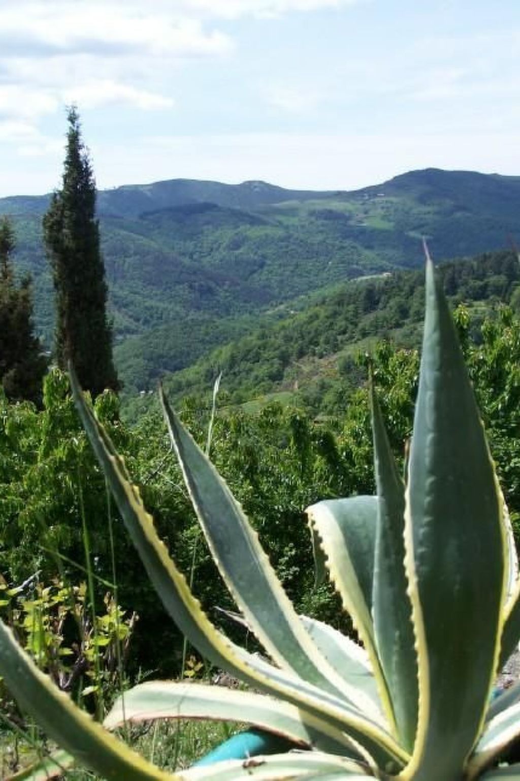 Gîte de Chapelèche Les Genêts-Binnen