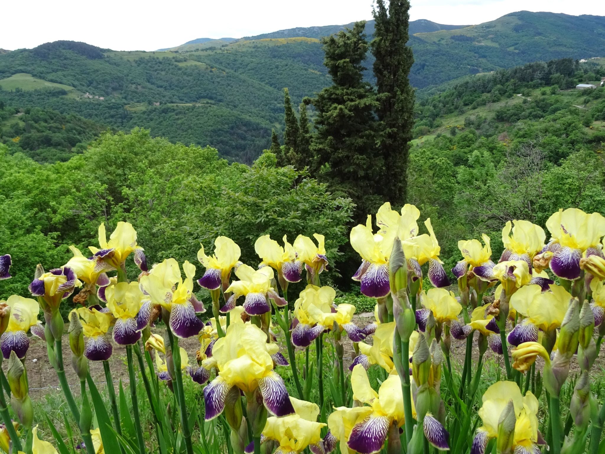 Gîte de Chapelèche Les Genêts-Binnen