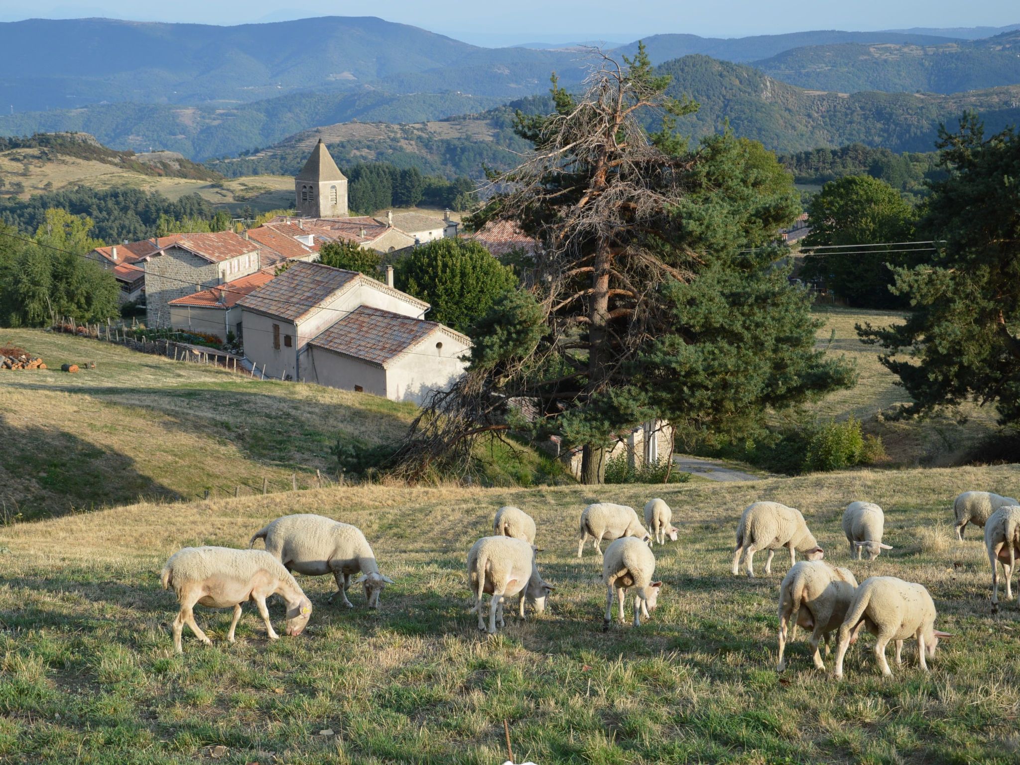 Gîte de Chapelèche Les Genêts-Binnen