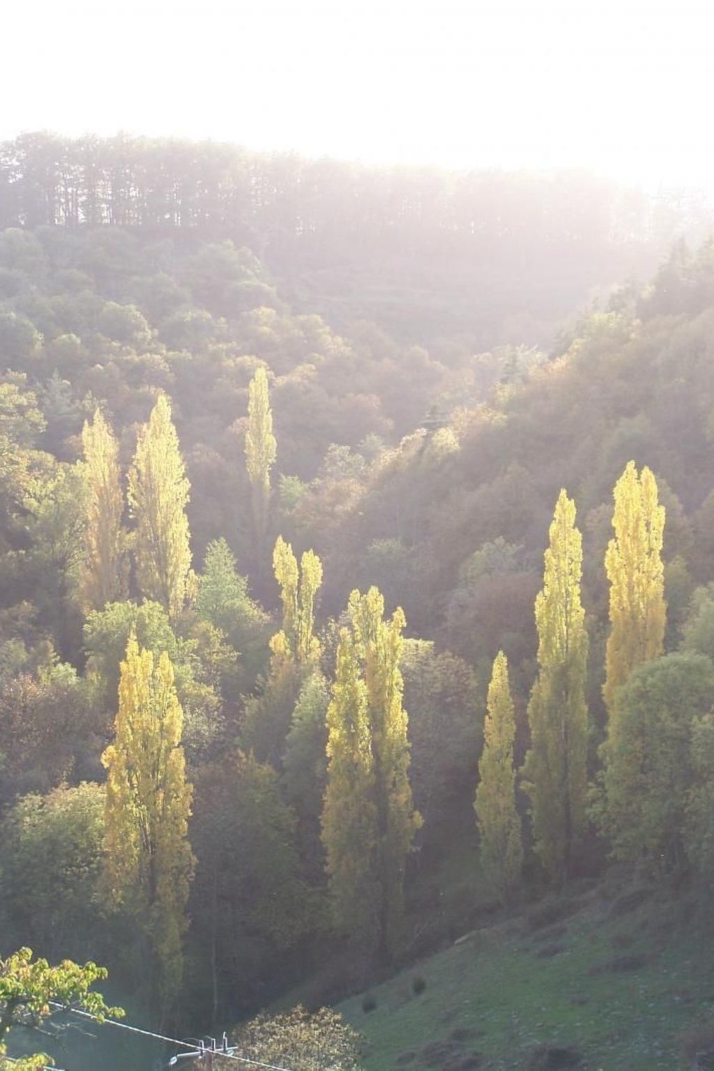 Gîte de Chapelèche Les Châtaigniers für 7 Pers.-Binnen