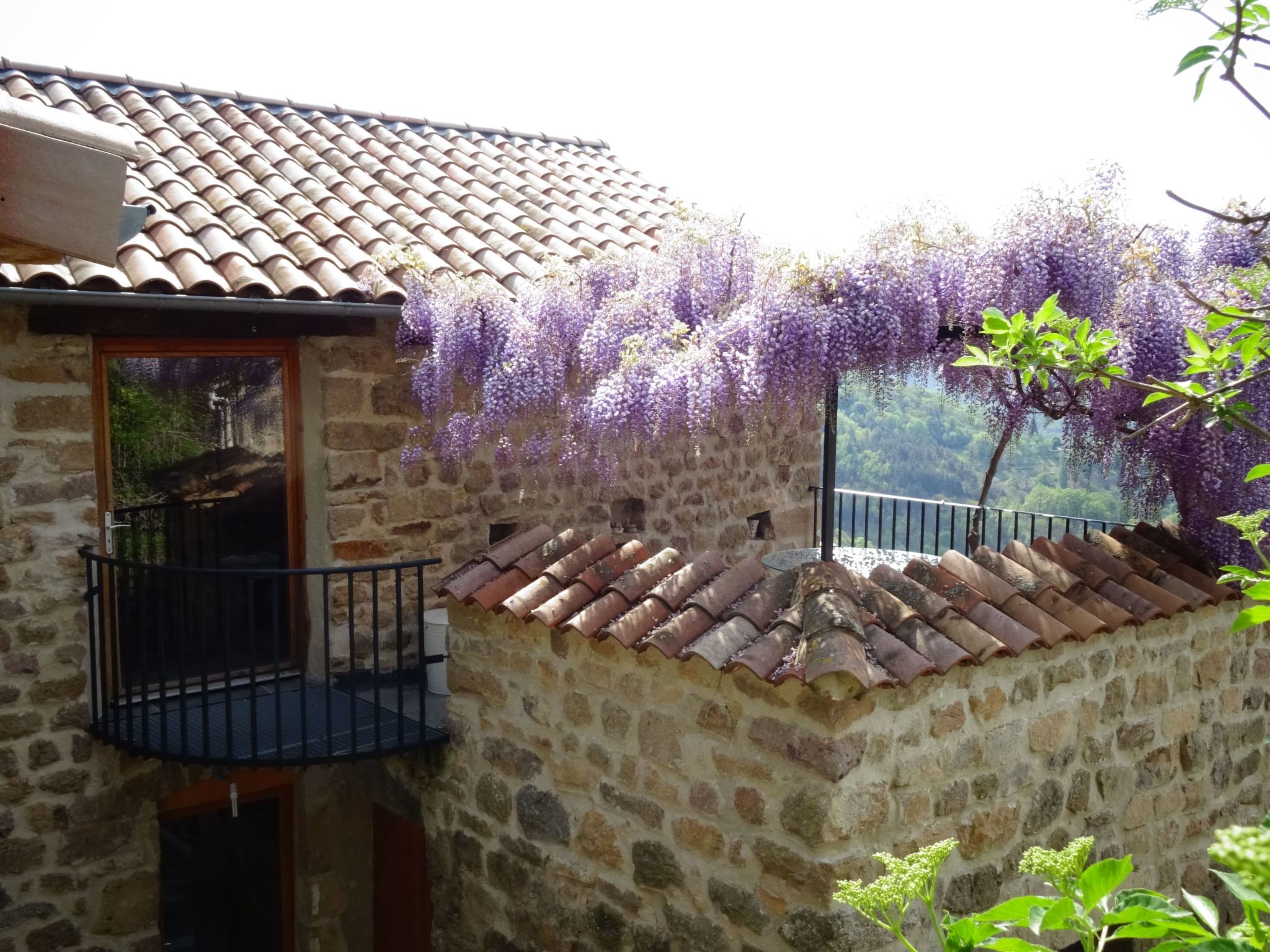 "Les Glycines"-Binnen