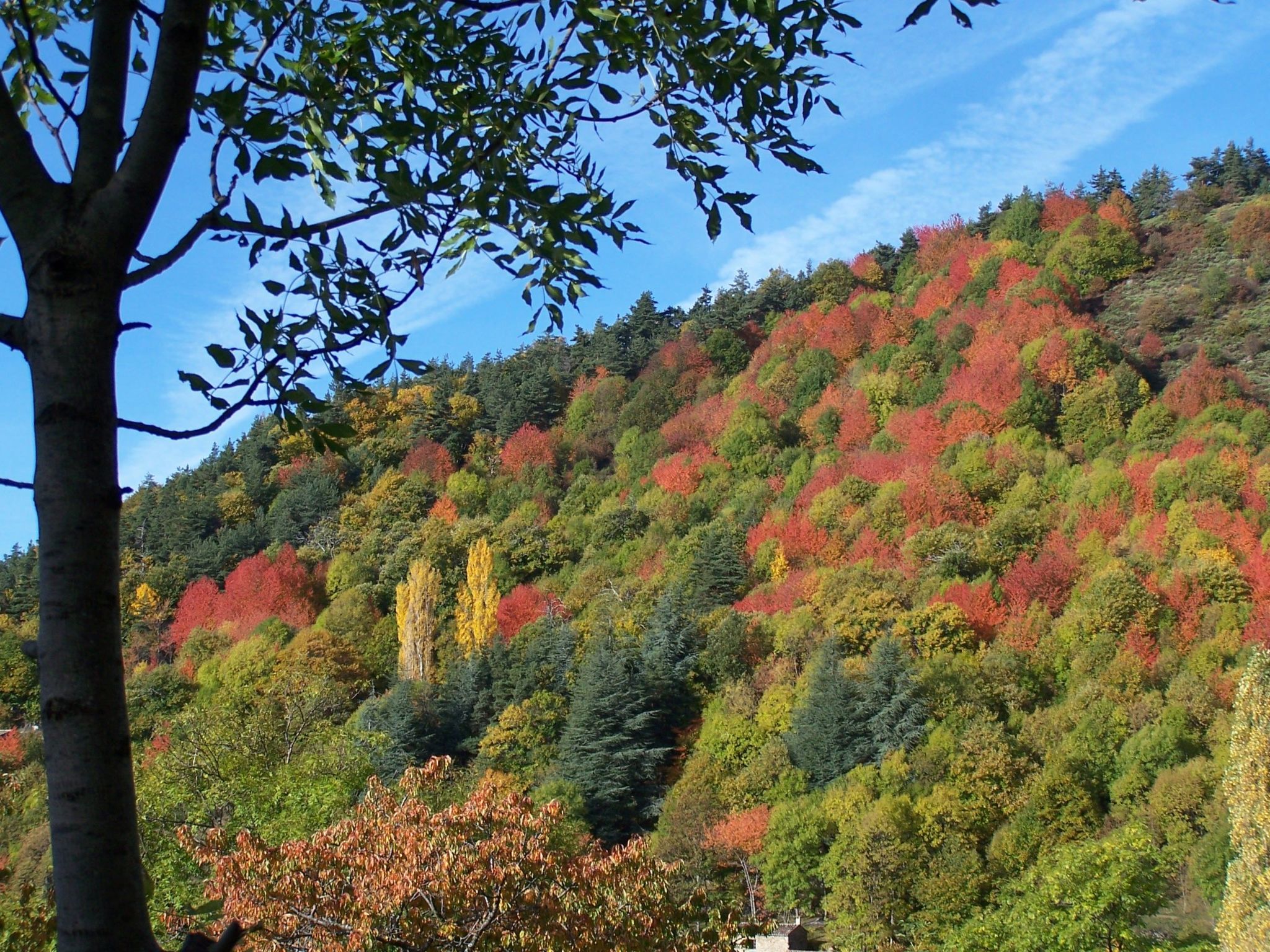 "Les Glycines"-Binnen