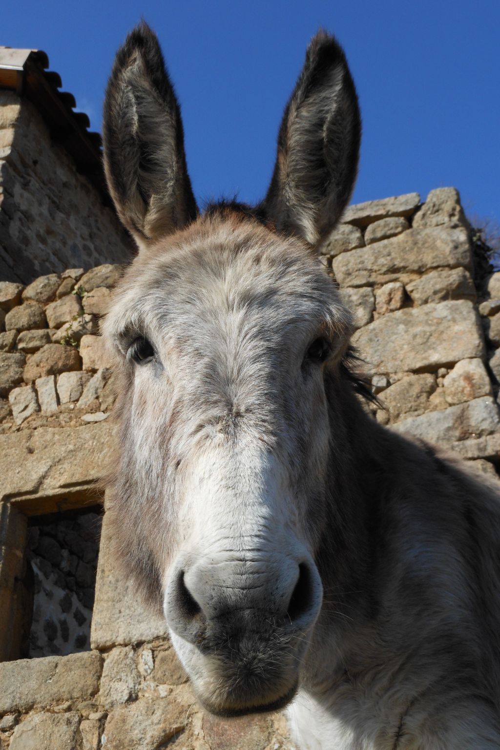 "Les Glycines"-Binnen