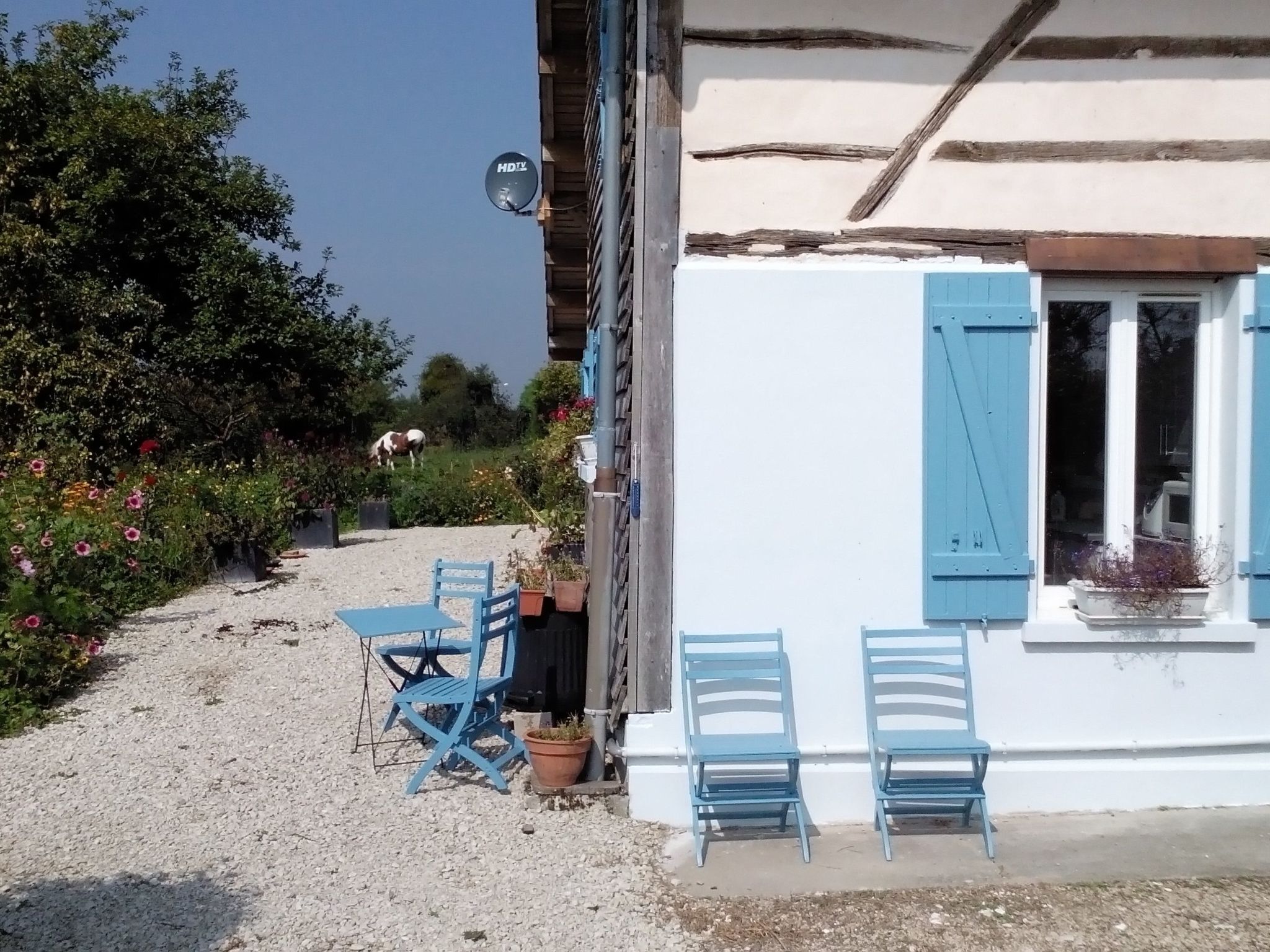 Fachwerkhaus "Charme