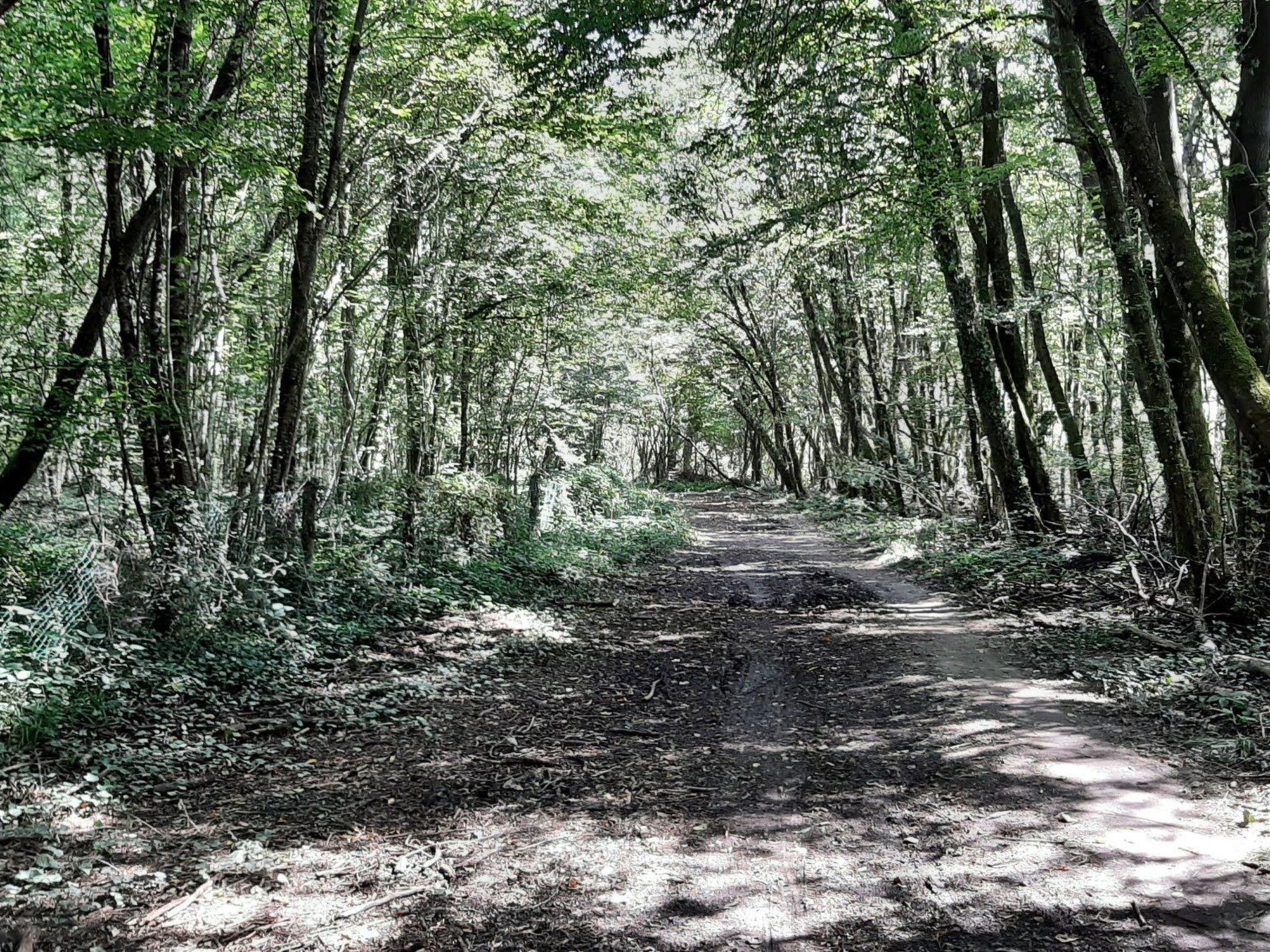 Fachwerkhaus "Charme-Image-tags.info