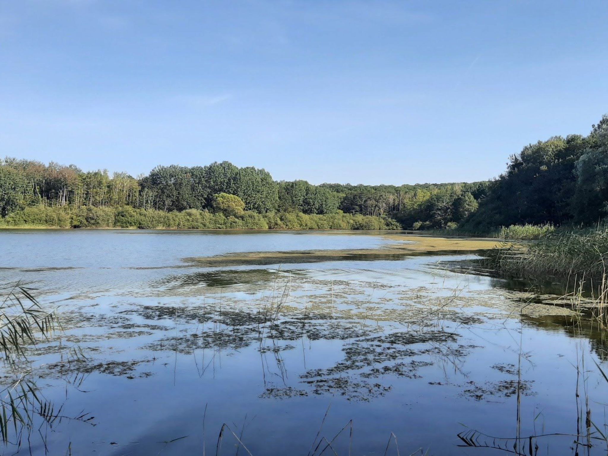 Fachwerkhaus "Charme-Image-tags.info