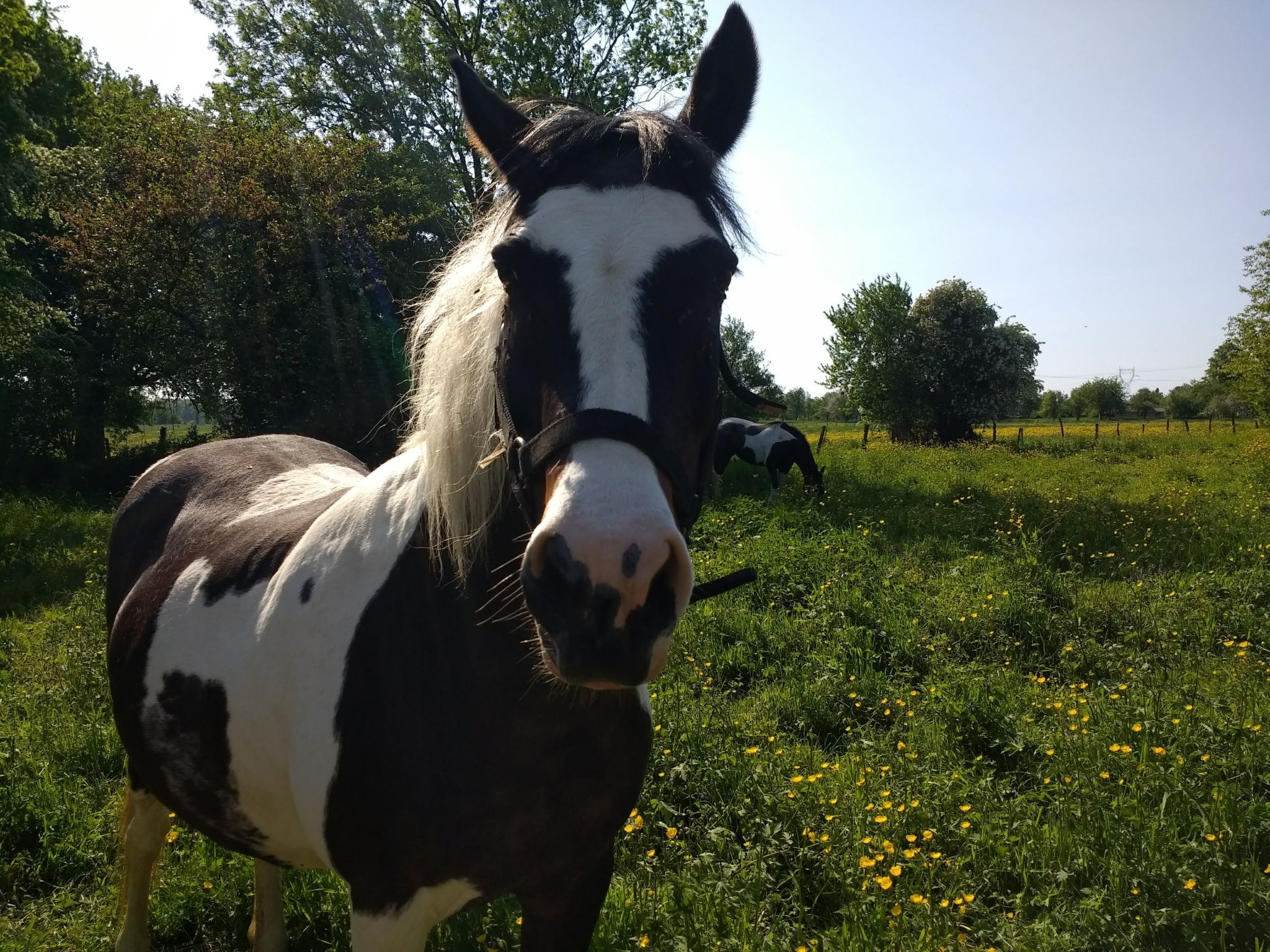 Fachwerkhaus "Charme-Image-tags.info