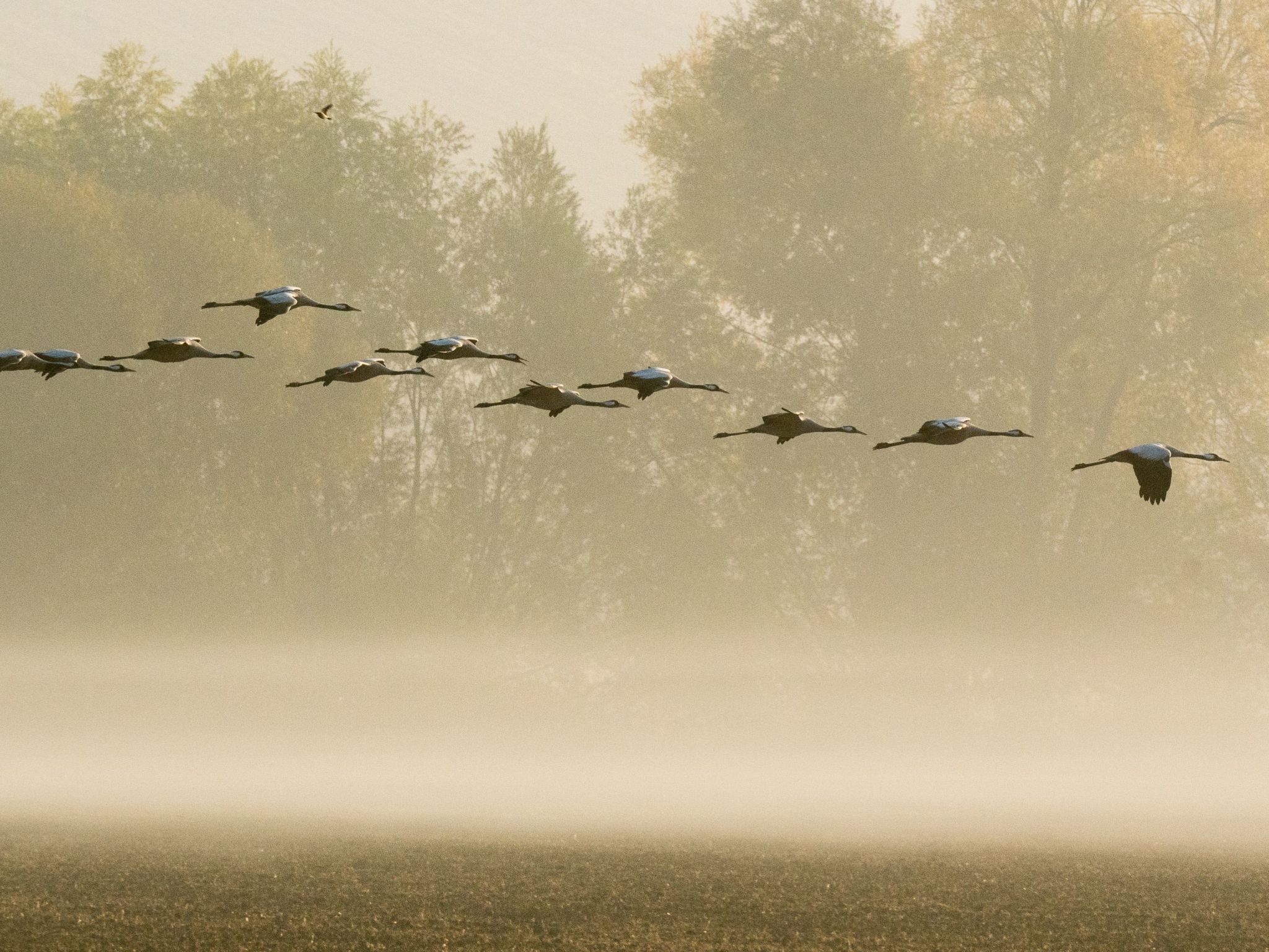 Fachwerkhaus "Charme-Image-tags.info