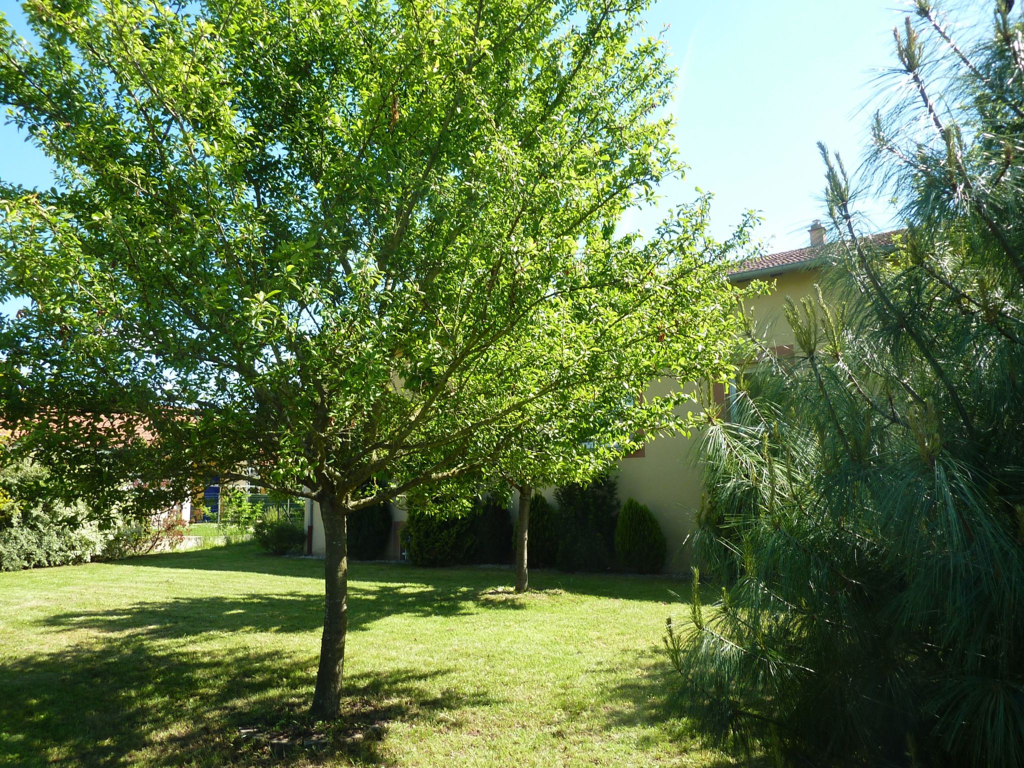 für 6 Personen + 1 Kind ca. 188 m&sup2;in Damelevières, Lothringen (Meurthe-et- — House (4 of 25)