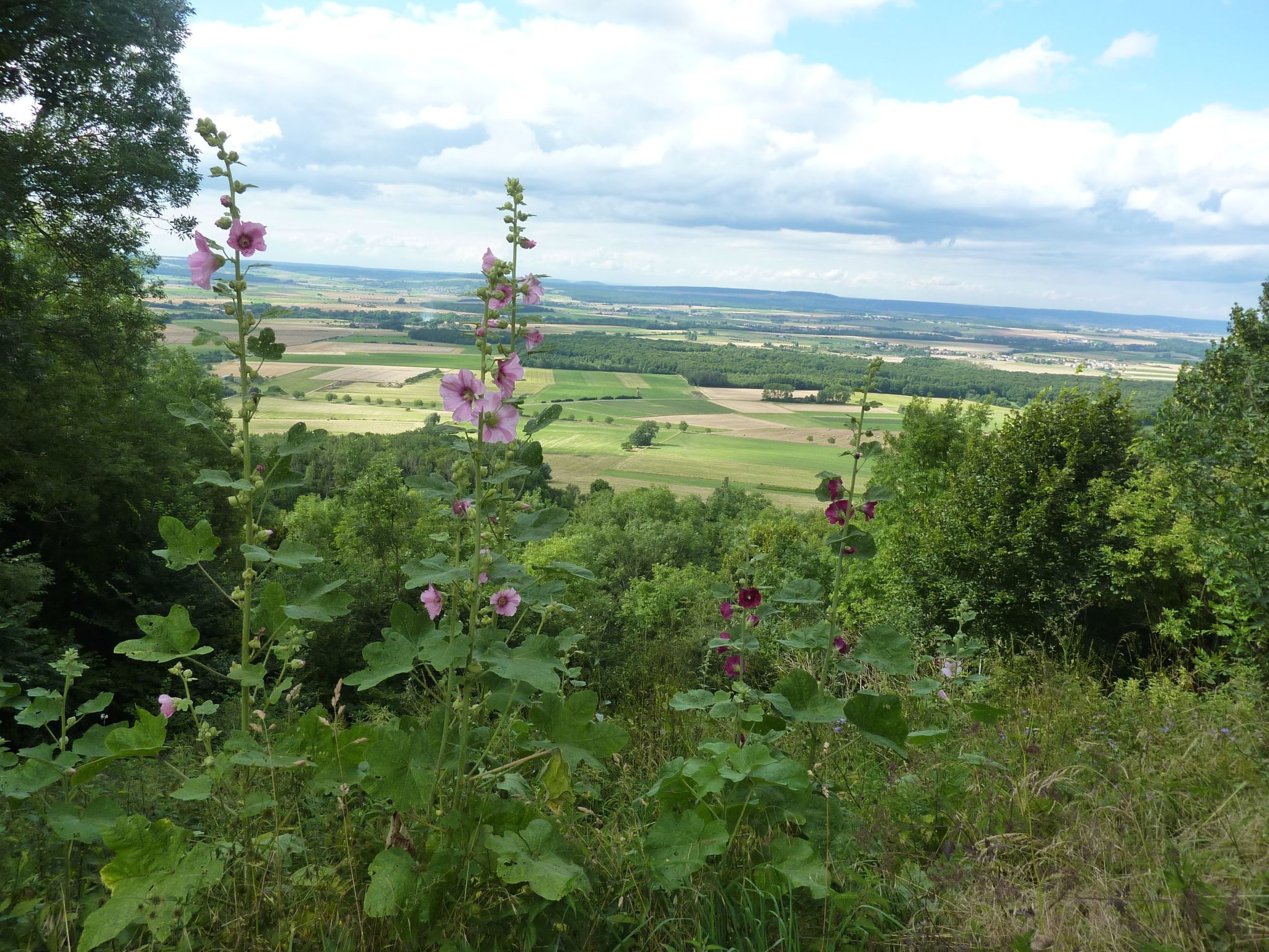 für 6 Personen + 1 Kind ca. 188 m&sup2;in Damelevières, Lothringen (Meurthe-et-