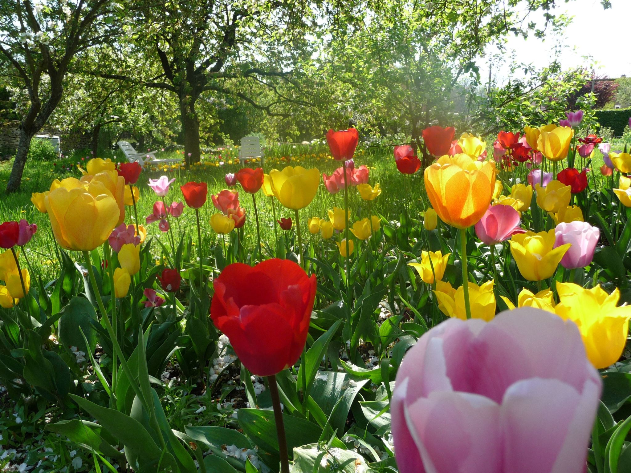 Domaine "Chez Marianne" mit Privatparkplatz-Binnen