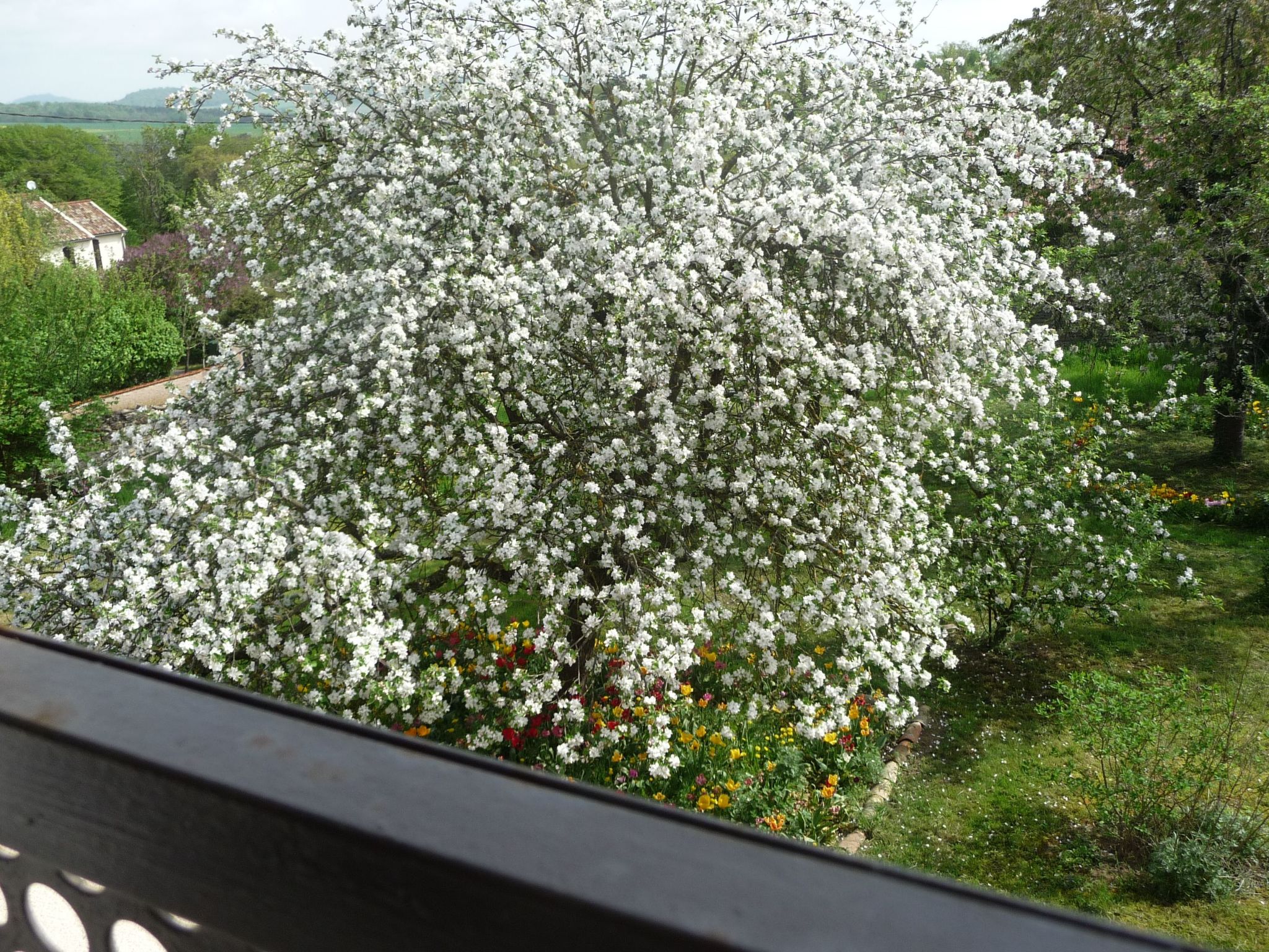 Domaine "Chez Marianne" mit Privatparkplatz-Binnen