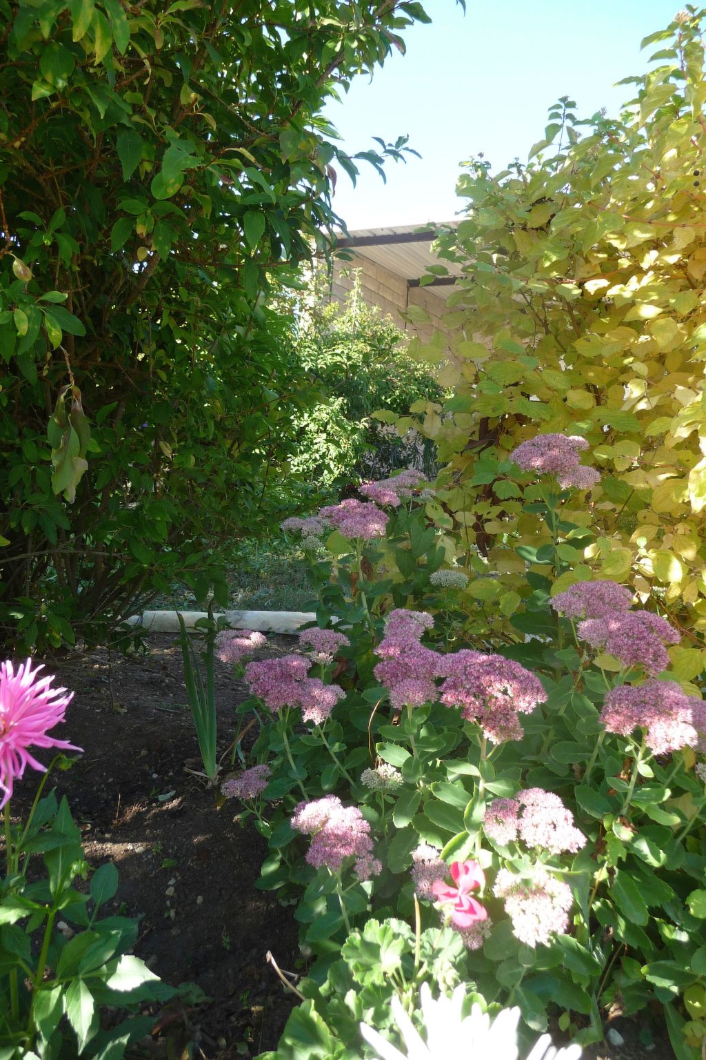 Domaine "Chez Marianne" mit Privatparkplatz-Binnen