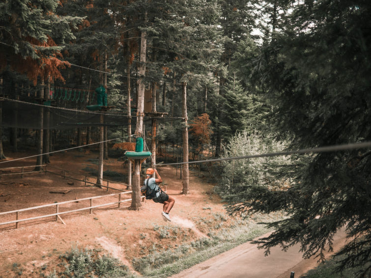 Park Les Trois Forêts