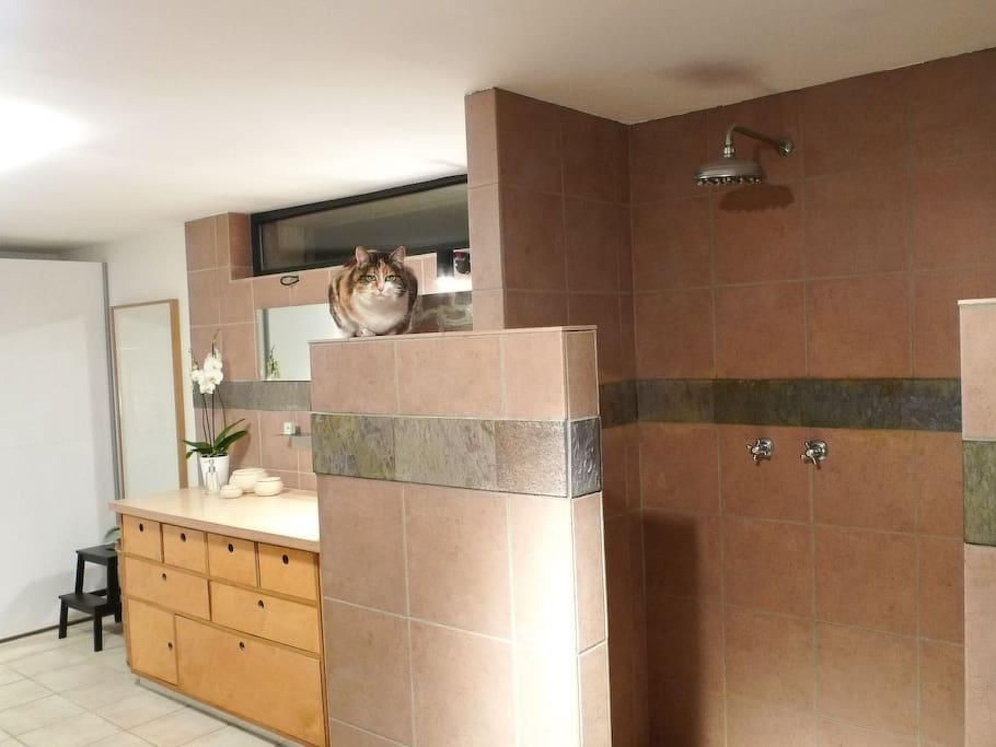 In Walscheid mit Terrasse, Grill-Binnen