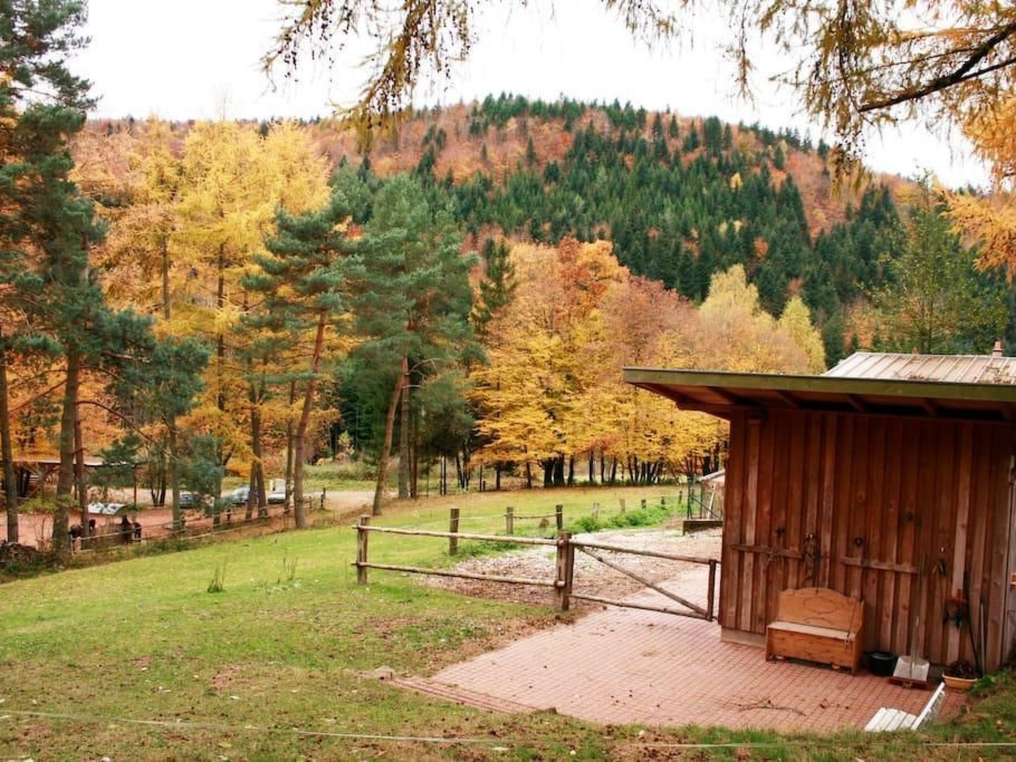 In Walscheid mit Terrasse, Grill-Binnen