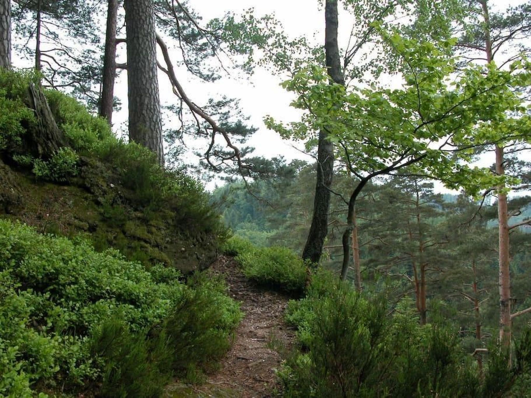 In Walscheid mit Terrasse, Grill-Binnen