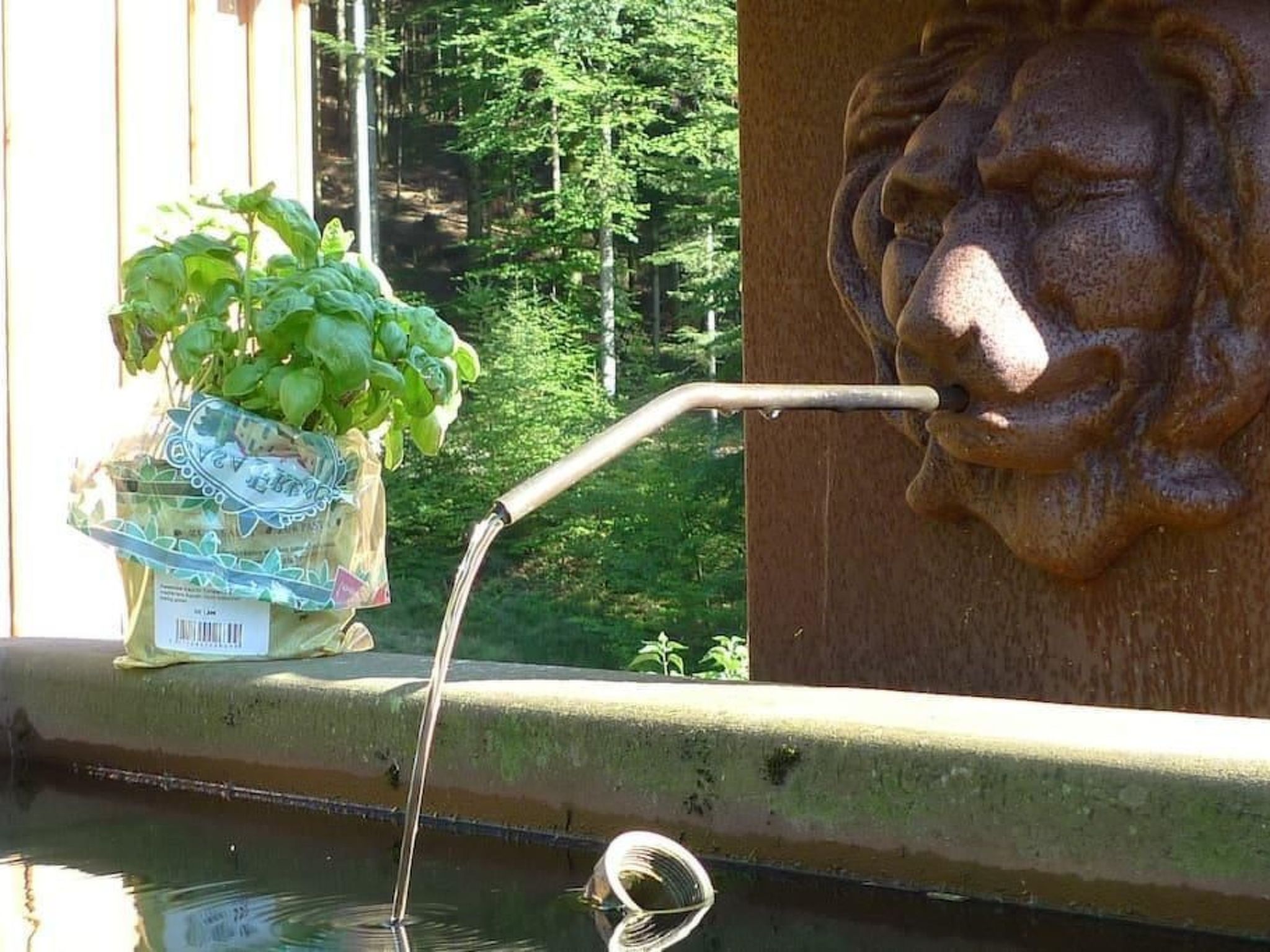 In Walscheid mit Terrasse, Grill-Binnen