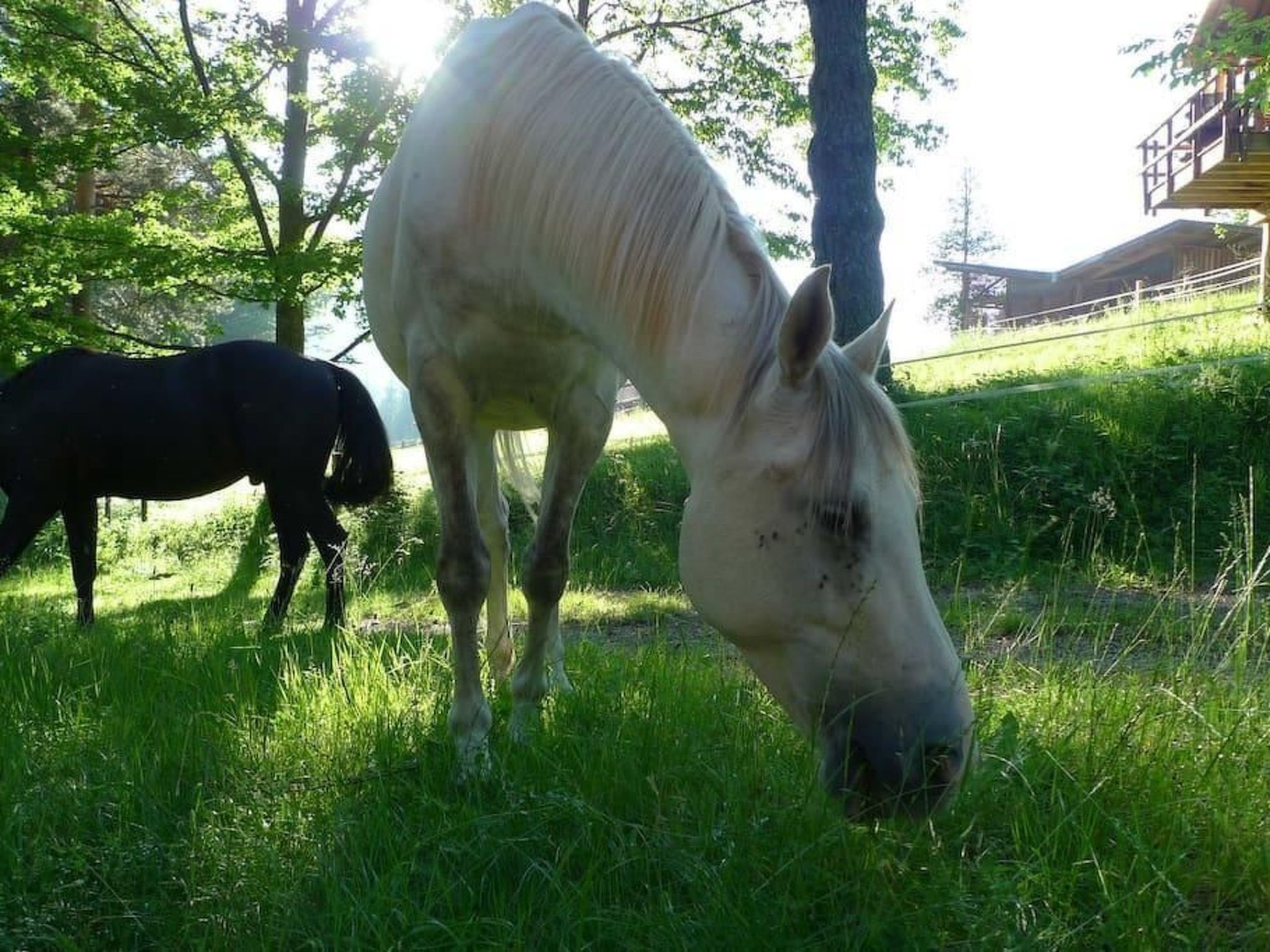 In Walscheid mit Terrasse, Grill-Binnen
