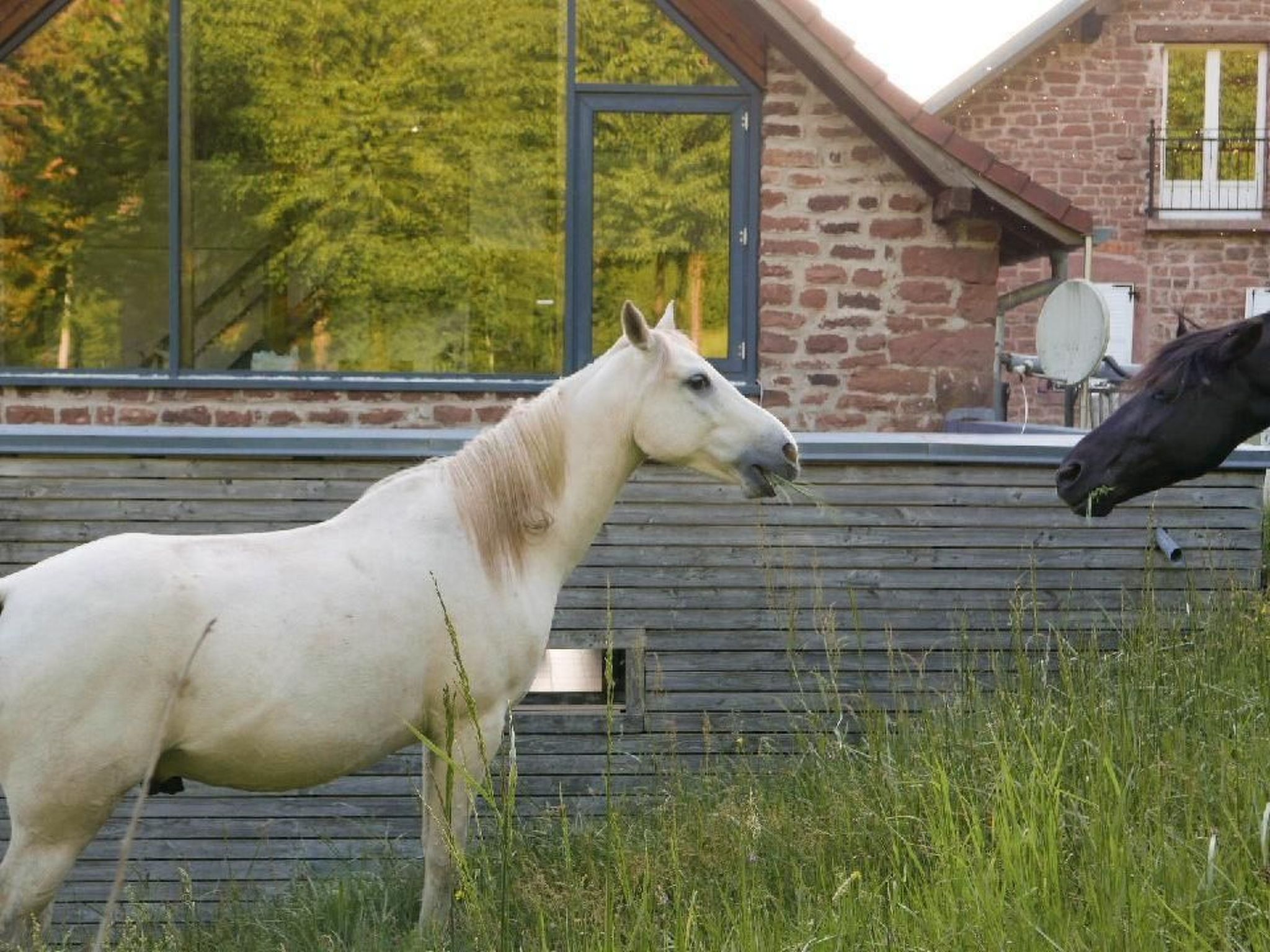 In Walscheid mit Terrasse, Grill-Binnen