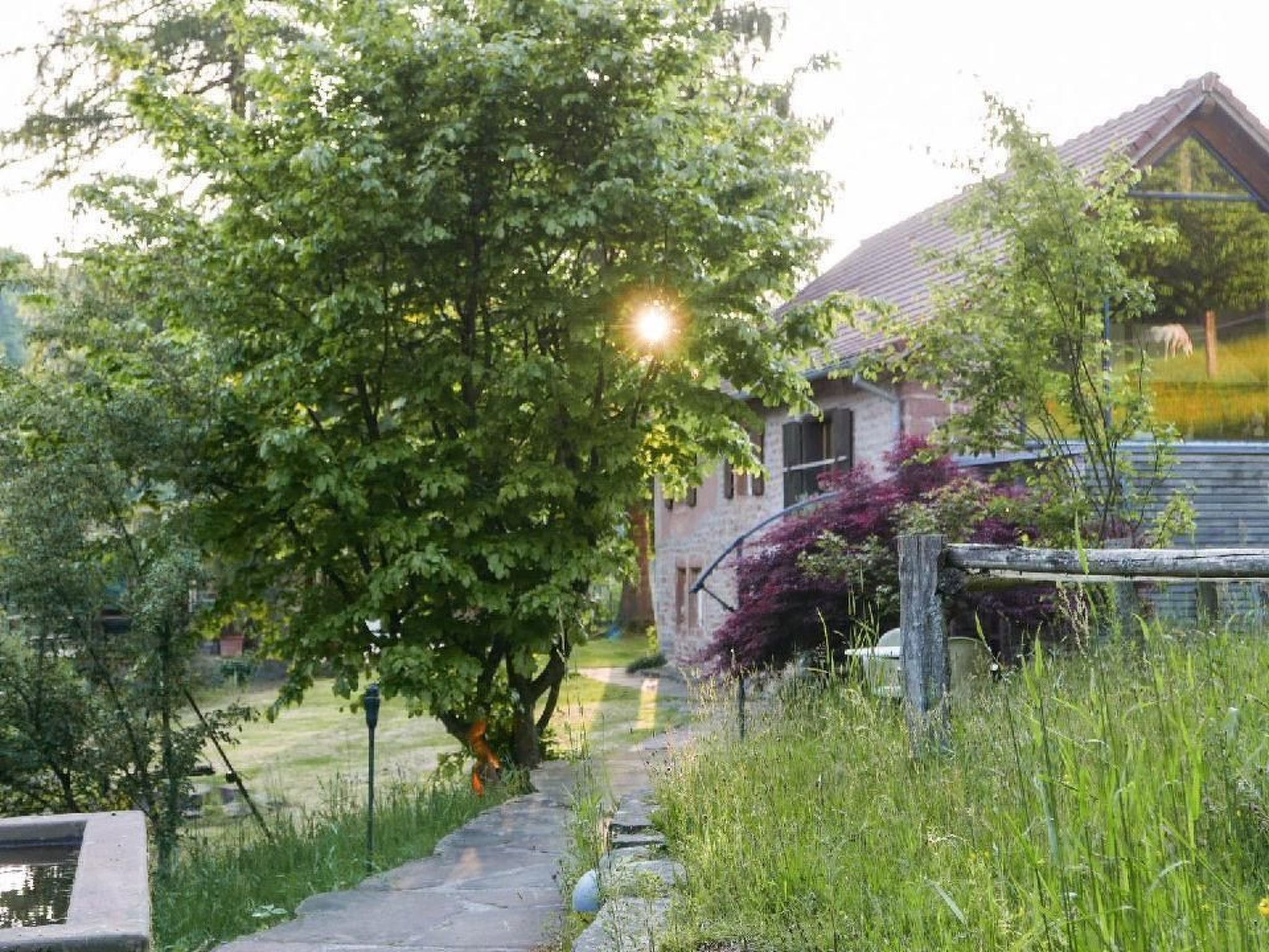 Vrijstaand vakantiehuis voor 8 personen in Walscheid met grote tuin en terras - foto 67