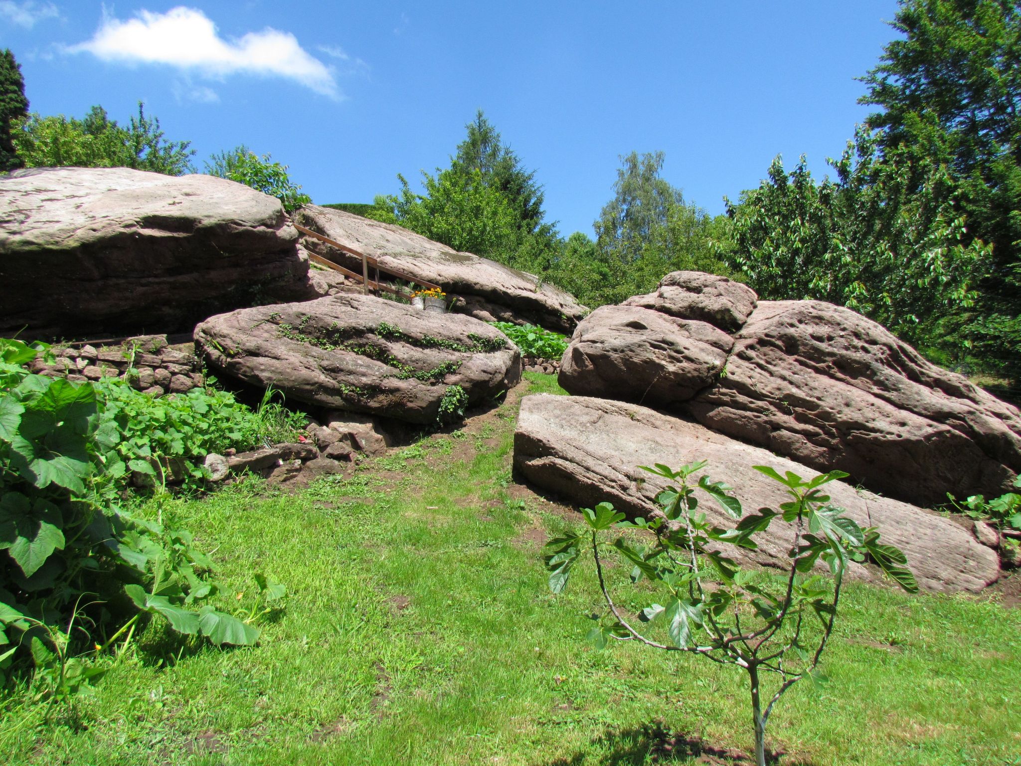 Das Gîte Fleuri mit einer herrlichen Aussicht-Binnen