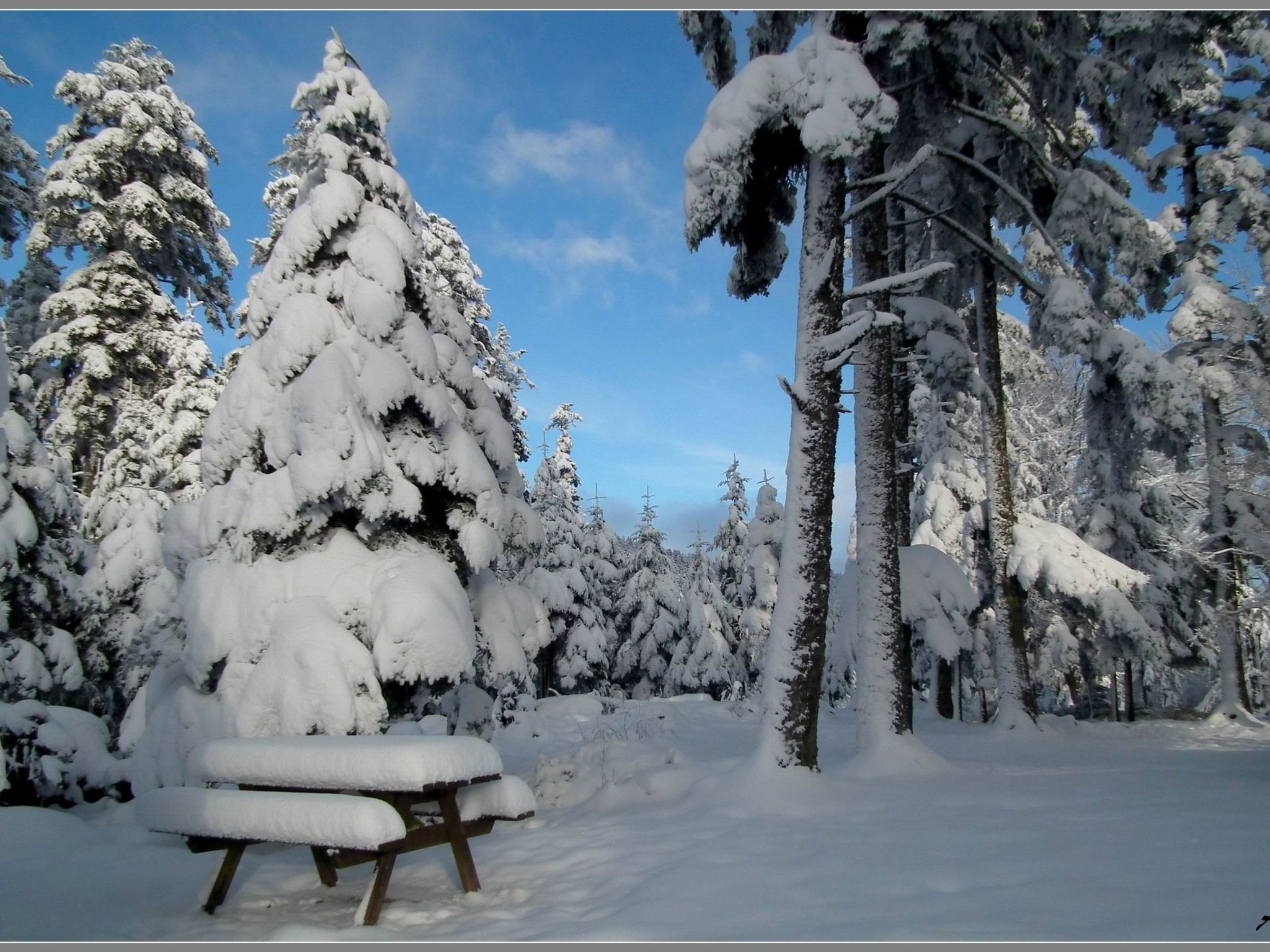 Das Gîte Fleuri mit einer herrlichen Aussicht-Binnen