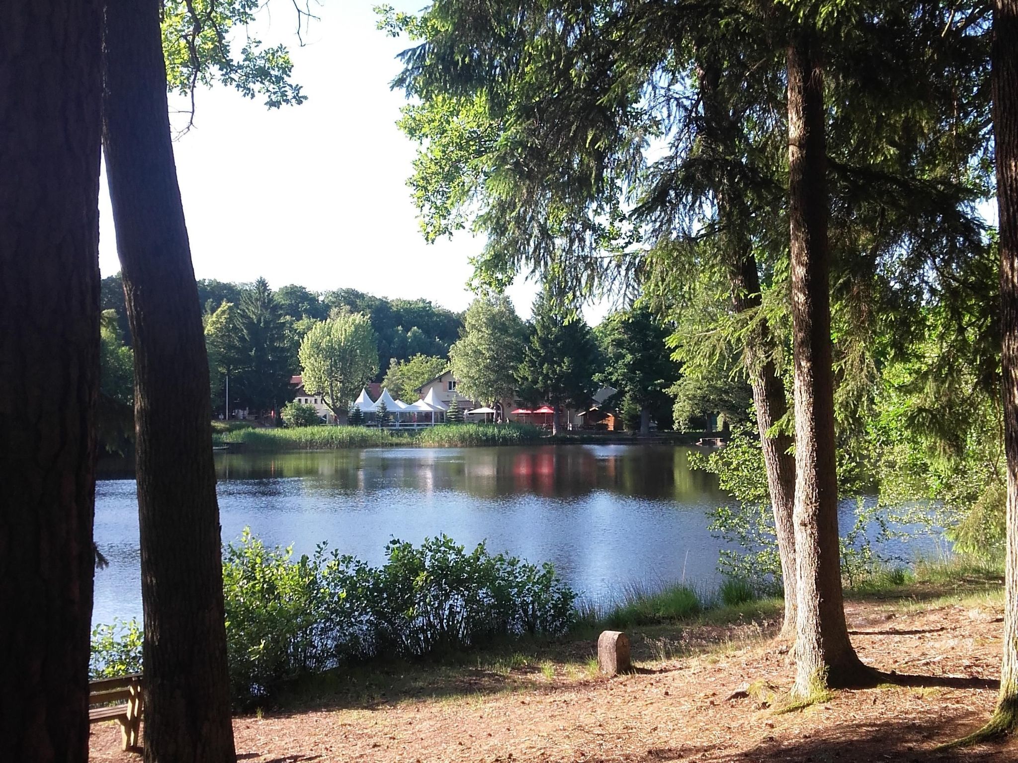 LES BRIMBELLES-Binnen