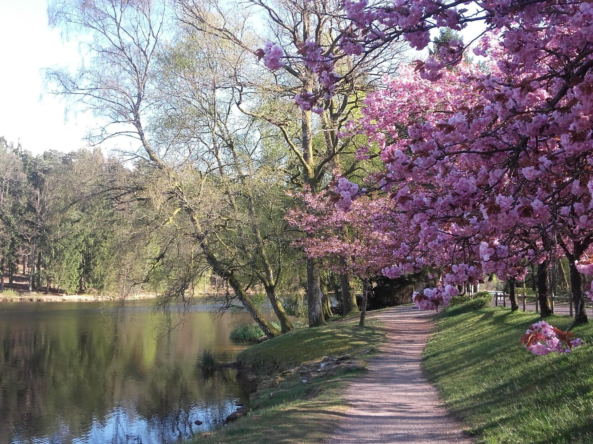 LES BRIMBELLES-Binnen