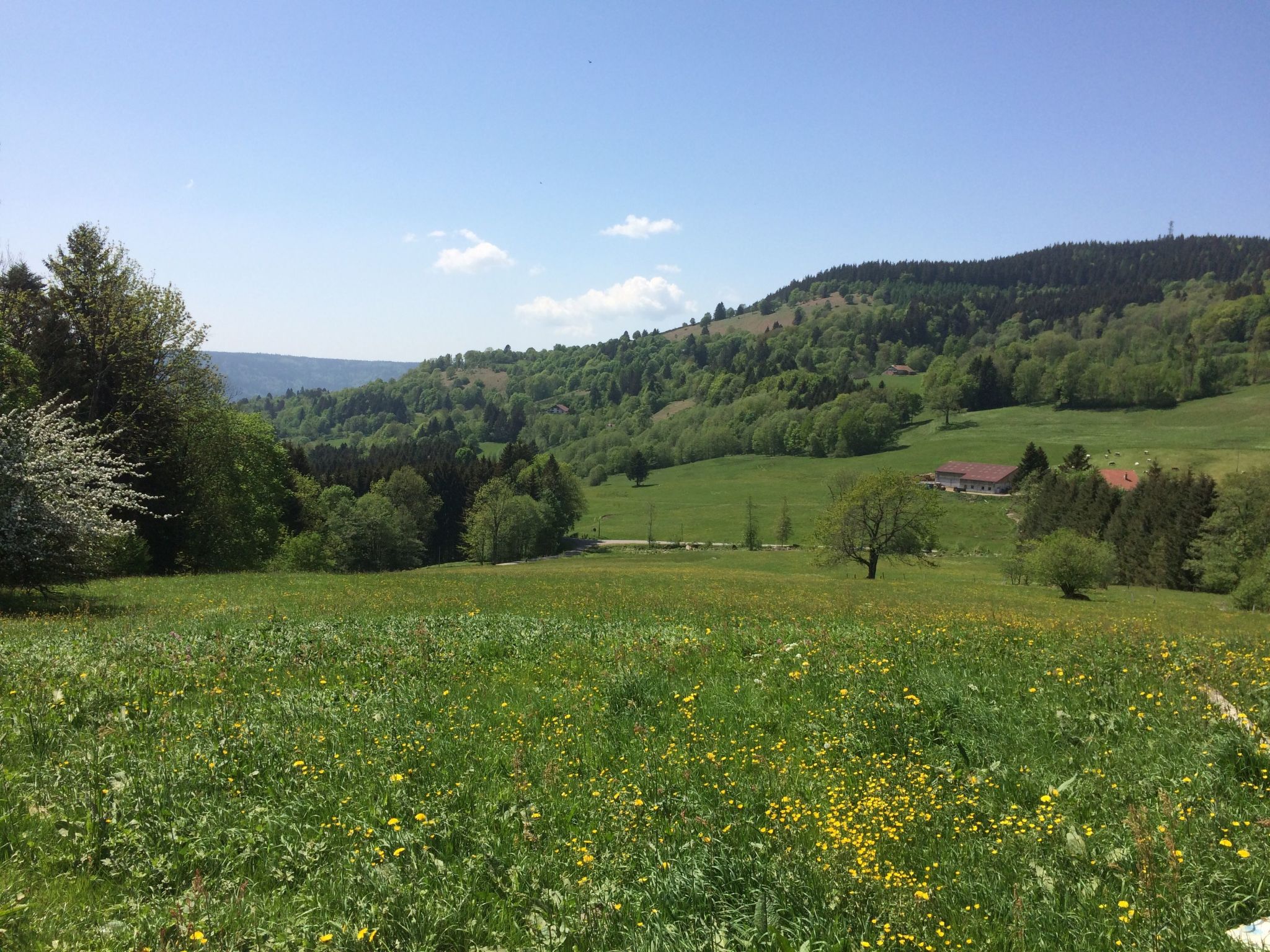 Domaine "Les Vieilles" mit Terrasse und Garten-Image-tags.info