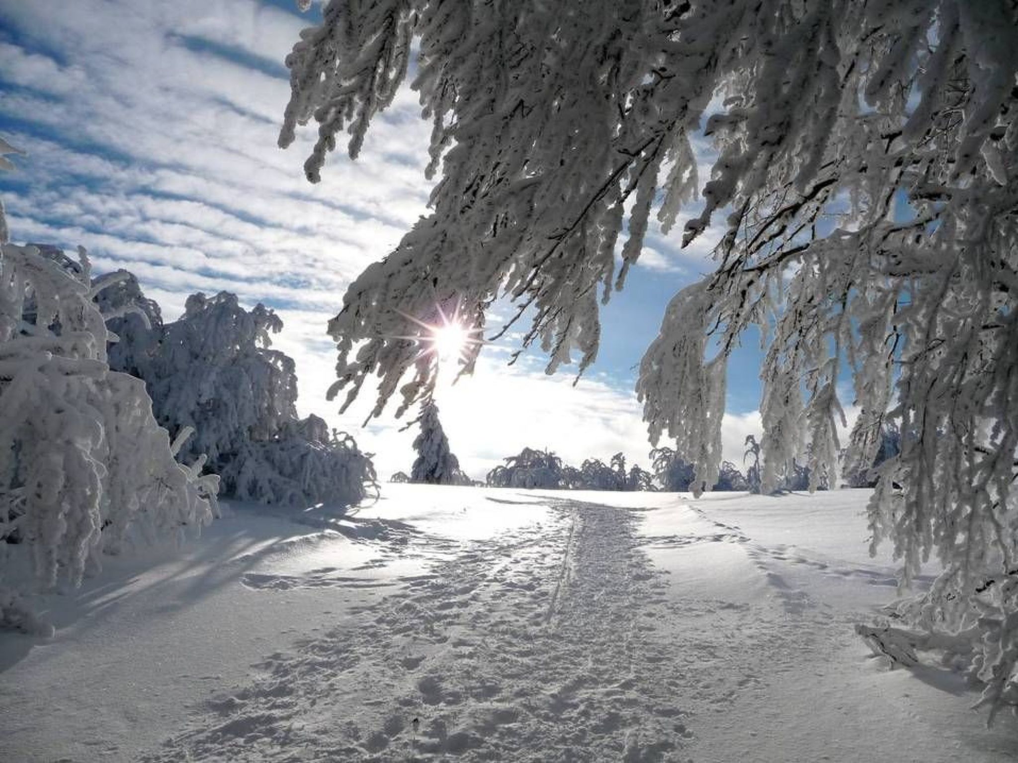 Domaine "Les Vieilles" mit Terrasse und Garten-Image-tags.info