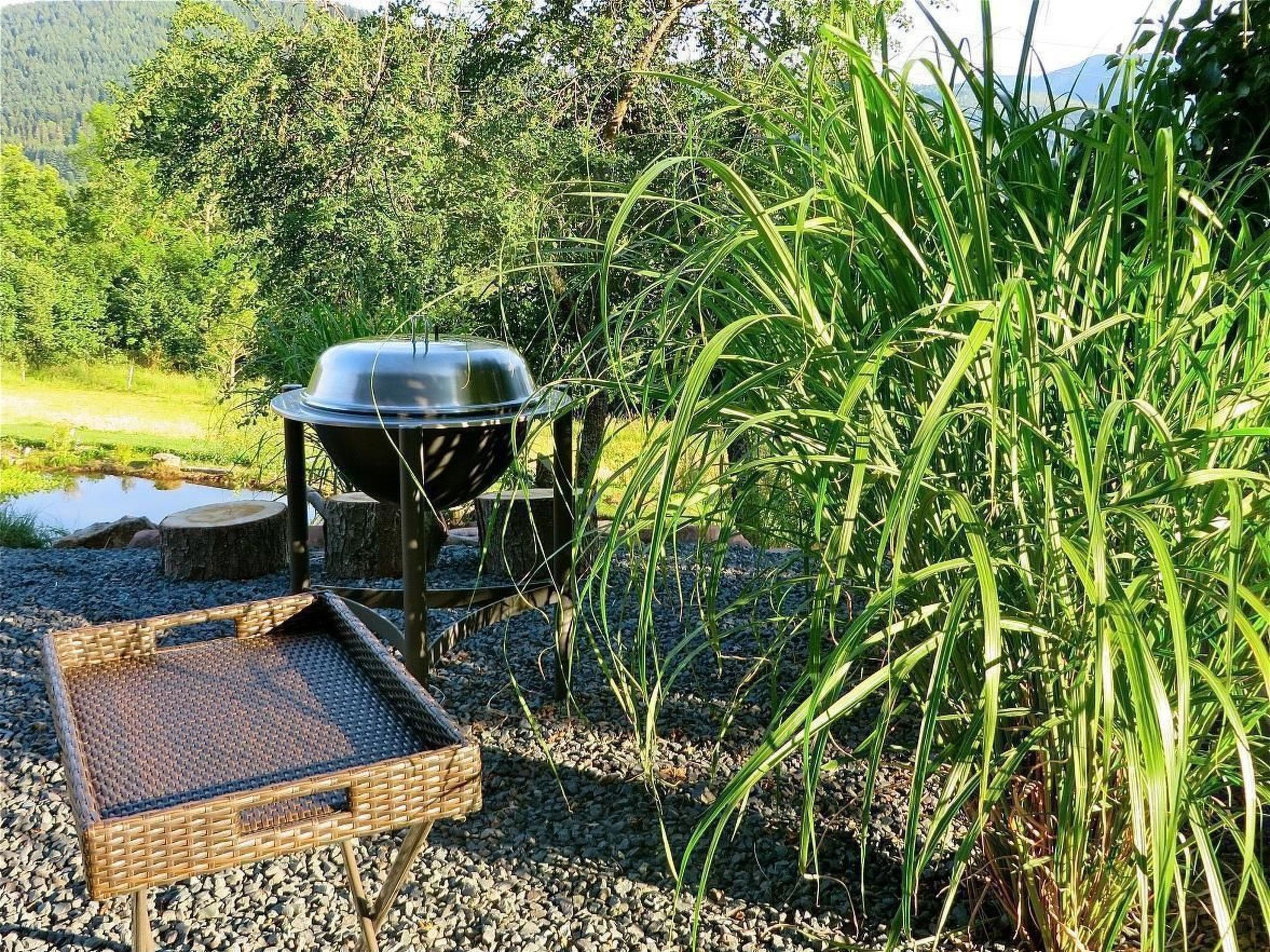 Villa "La Folie des Vosges" (Die Folie der Vogesen)-Draußen