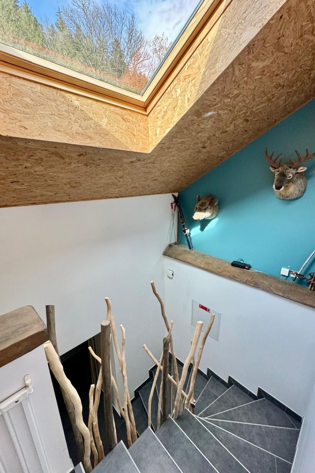 Villa "La Folie des Vosges" (Die Folie der Vogesen)-Draußen