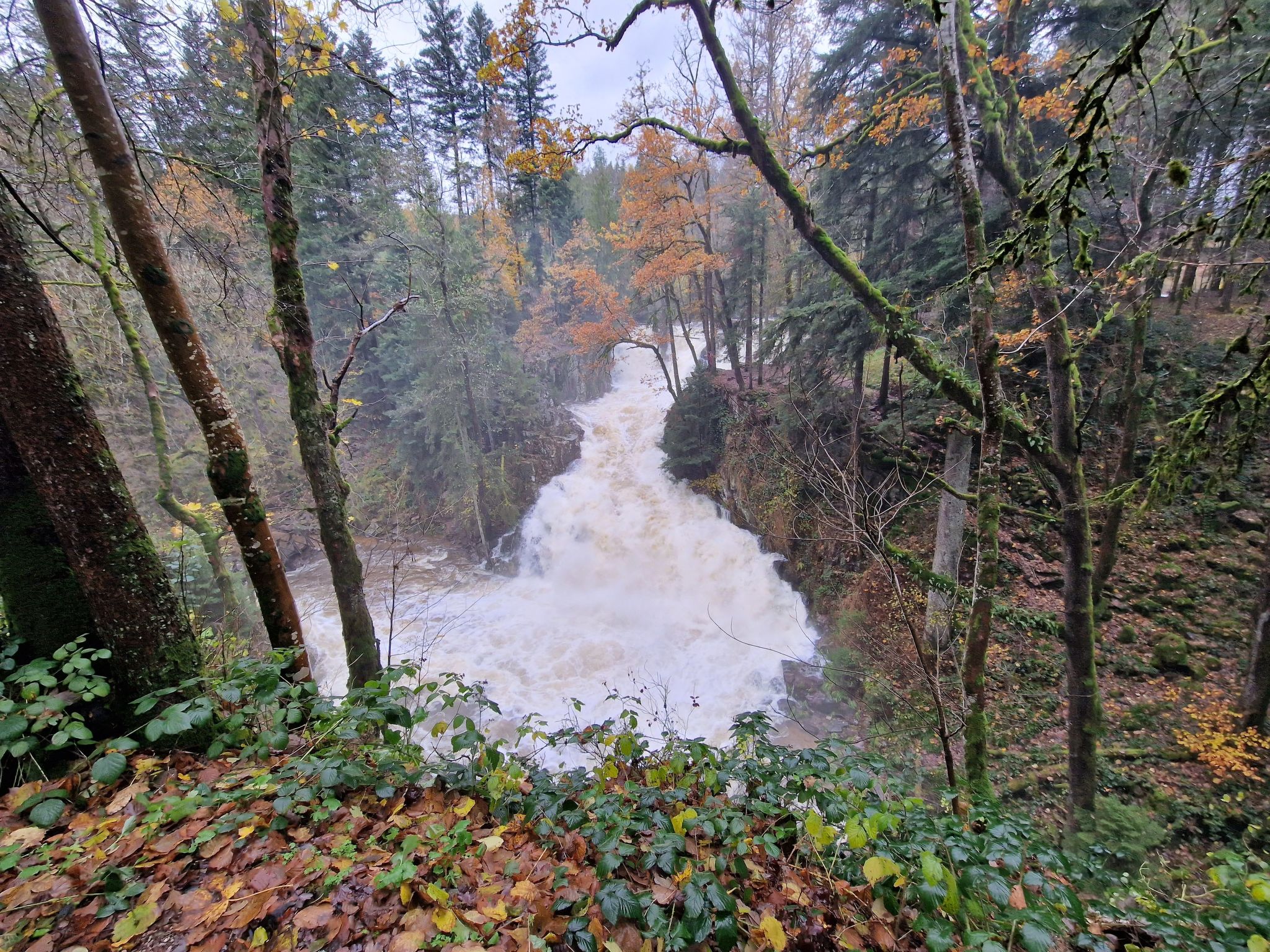 Le Chalet Sous Les Sapins, mit Swimmingpool, Sauna