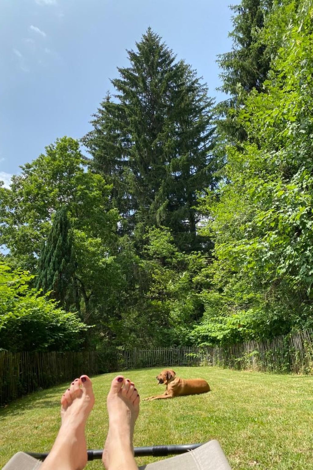 In Ventron mit eingezäuntem Garten-Binnen