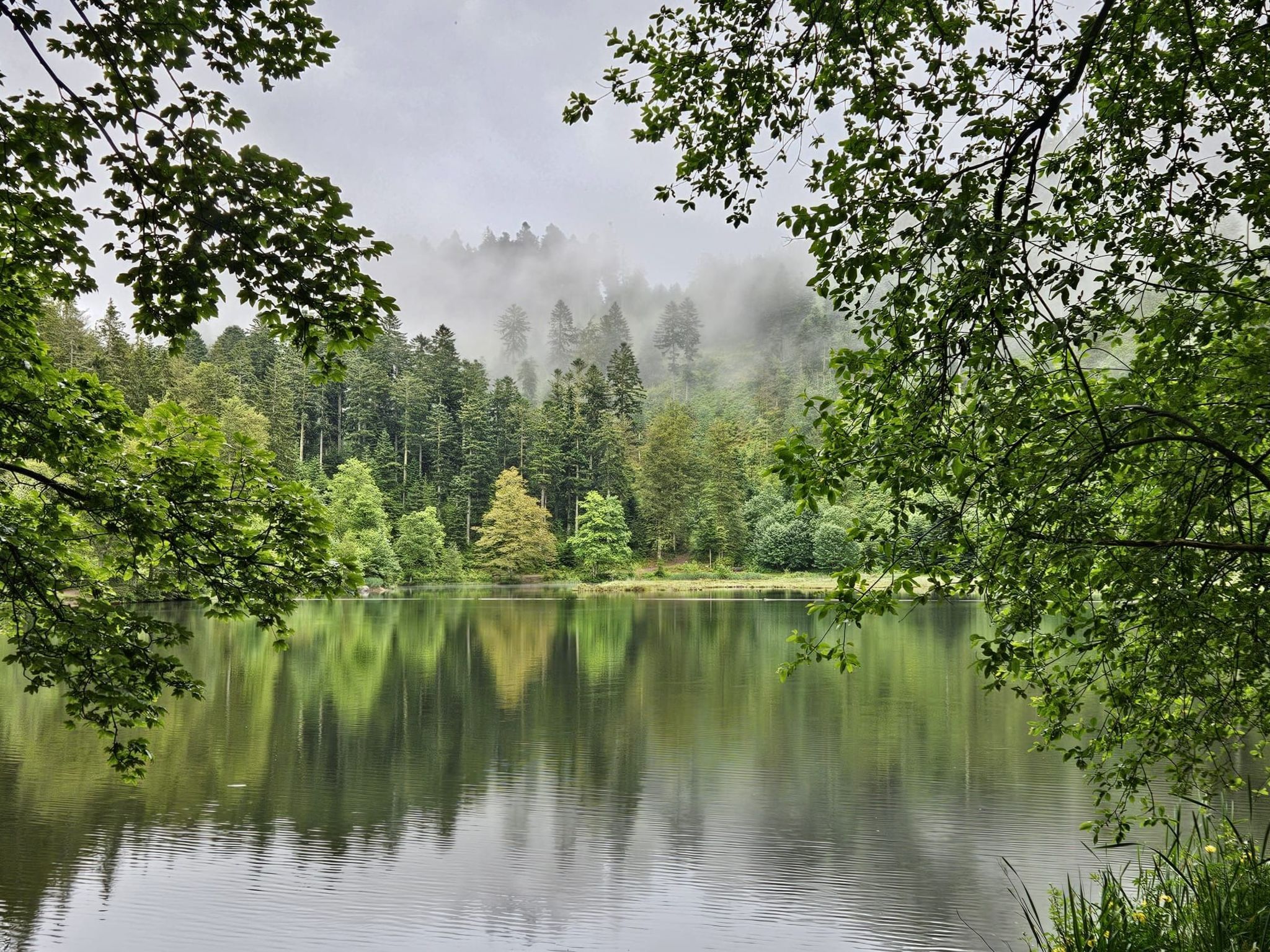 In Ventron mit eingezäuntem Garten-Binnen