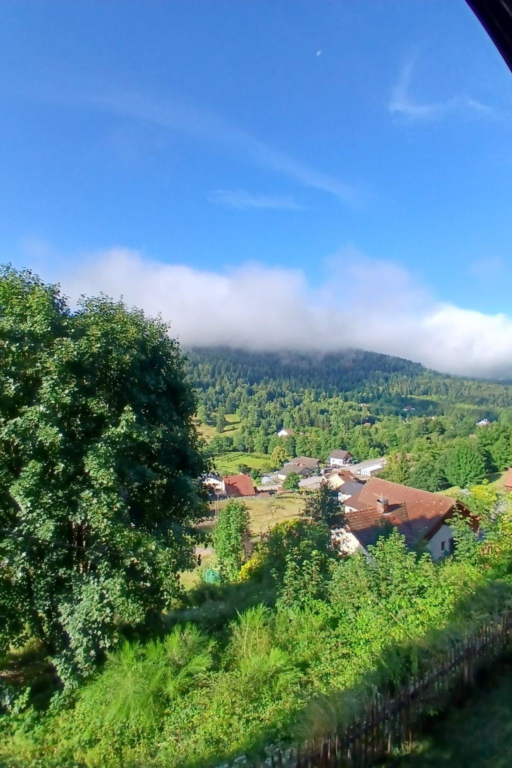 In Ventron mit eingezäuntem Garten-Binnen