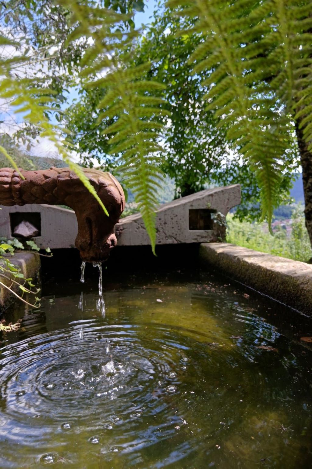 In Ventron mit eingezäuntem Garten-Binnen