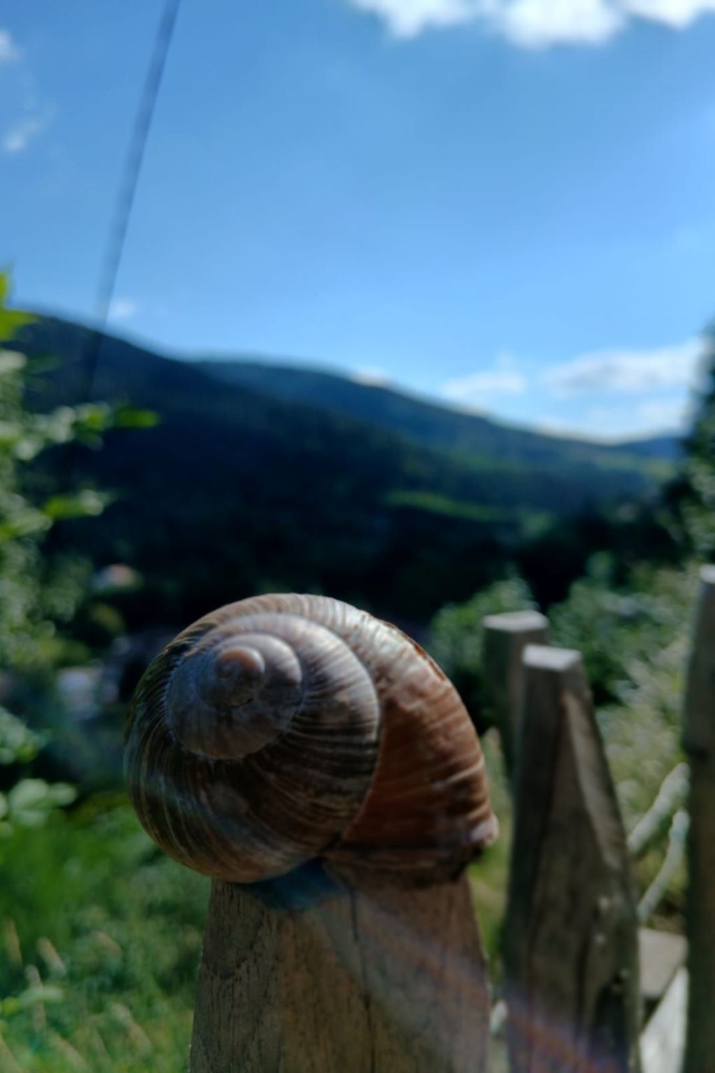 In Ventron mit eingezäuntem Garten