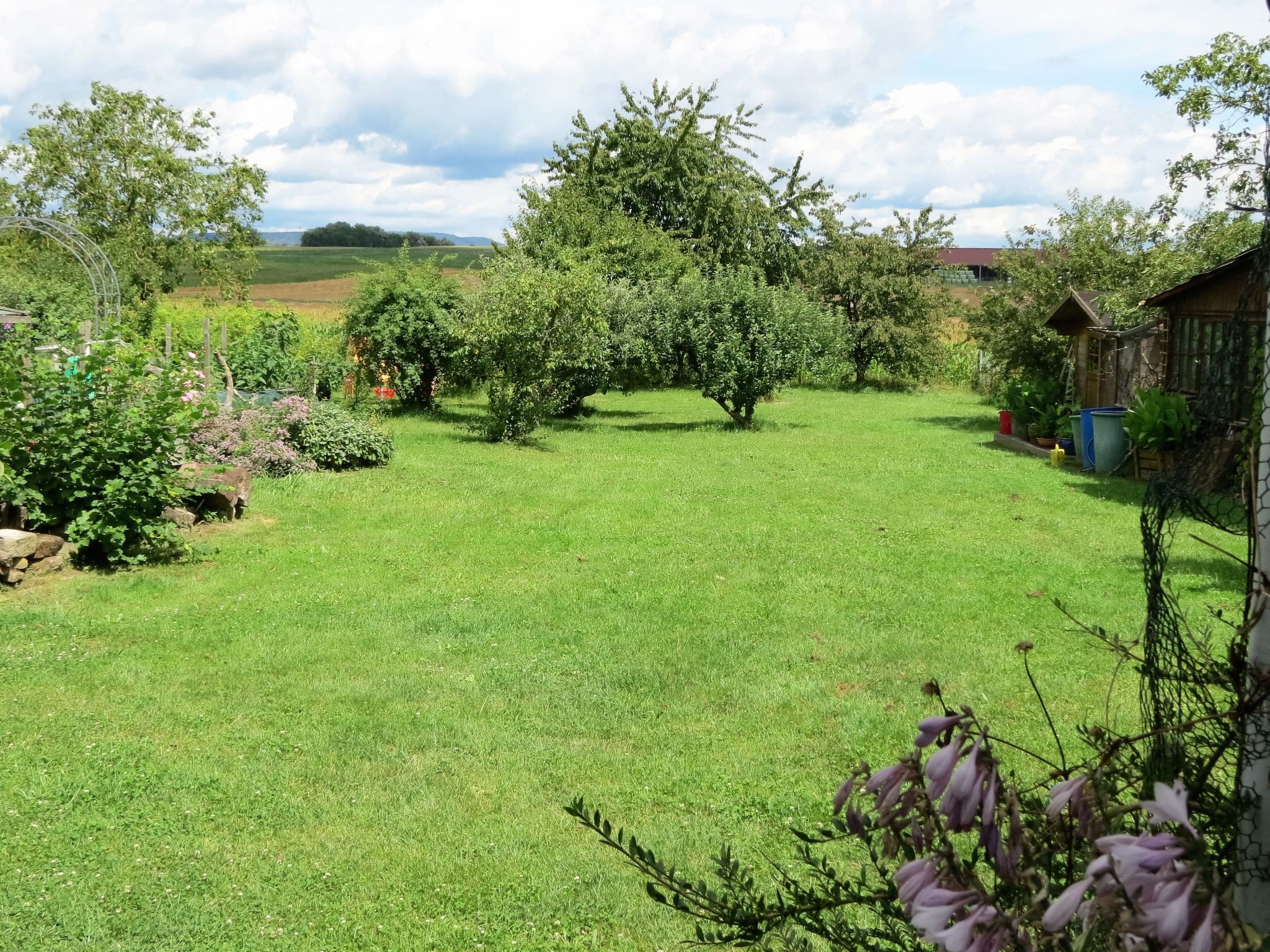 Gemütliches Appartement in Betschdorf-Binnen