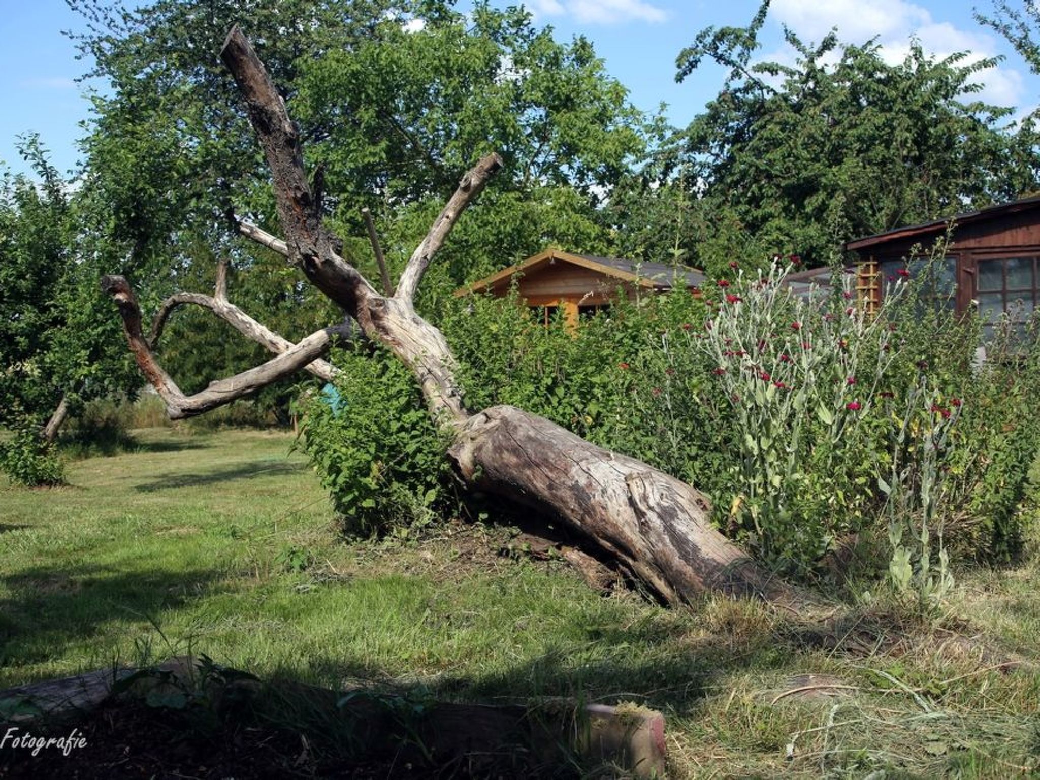 Gemütliches Appartement in Betschdorf-Binnen