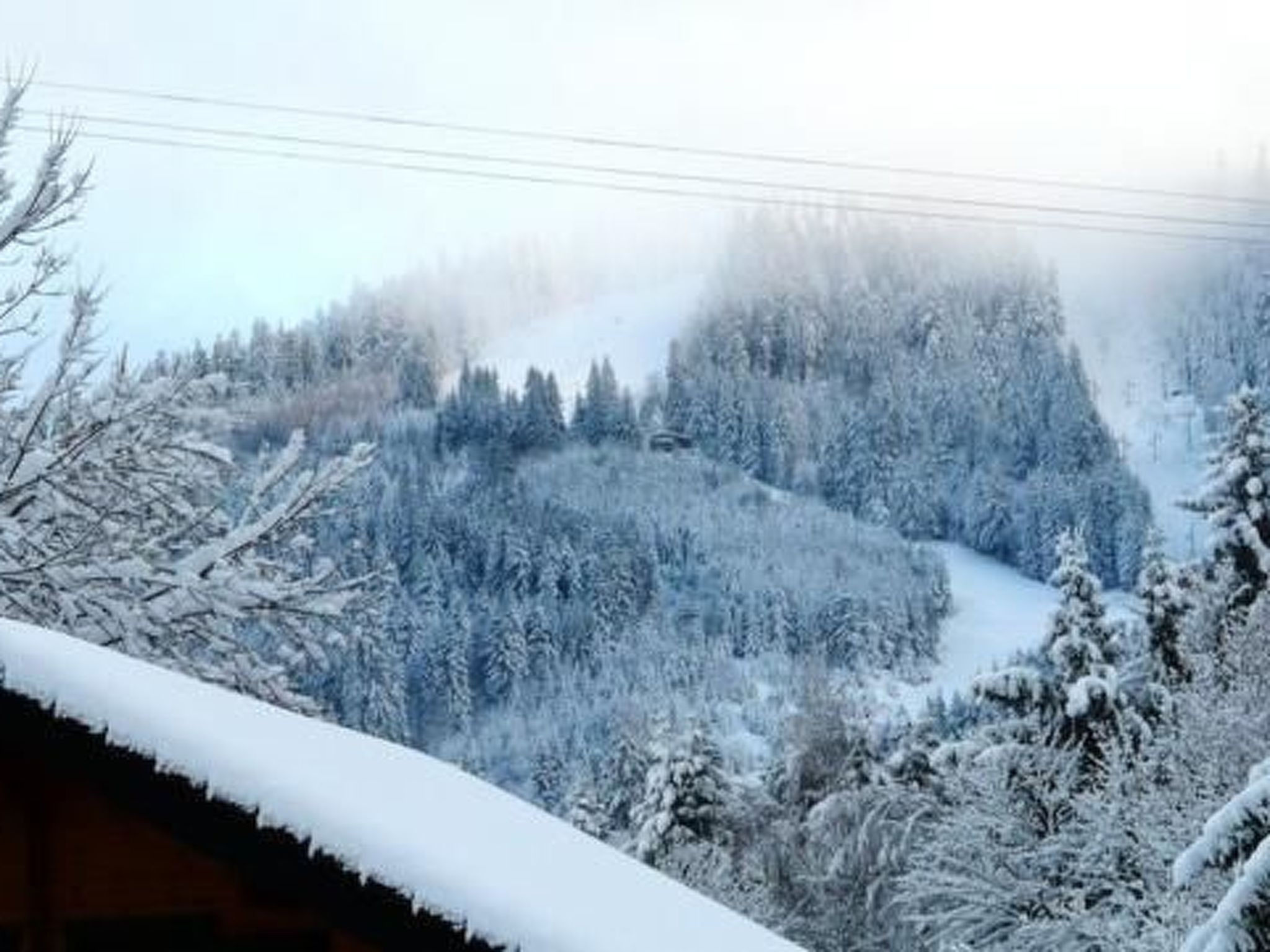 Ferienhaus "Les Sapins Argentés" (Die silbernen Tannen) - Image-tags.info