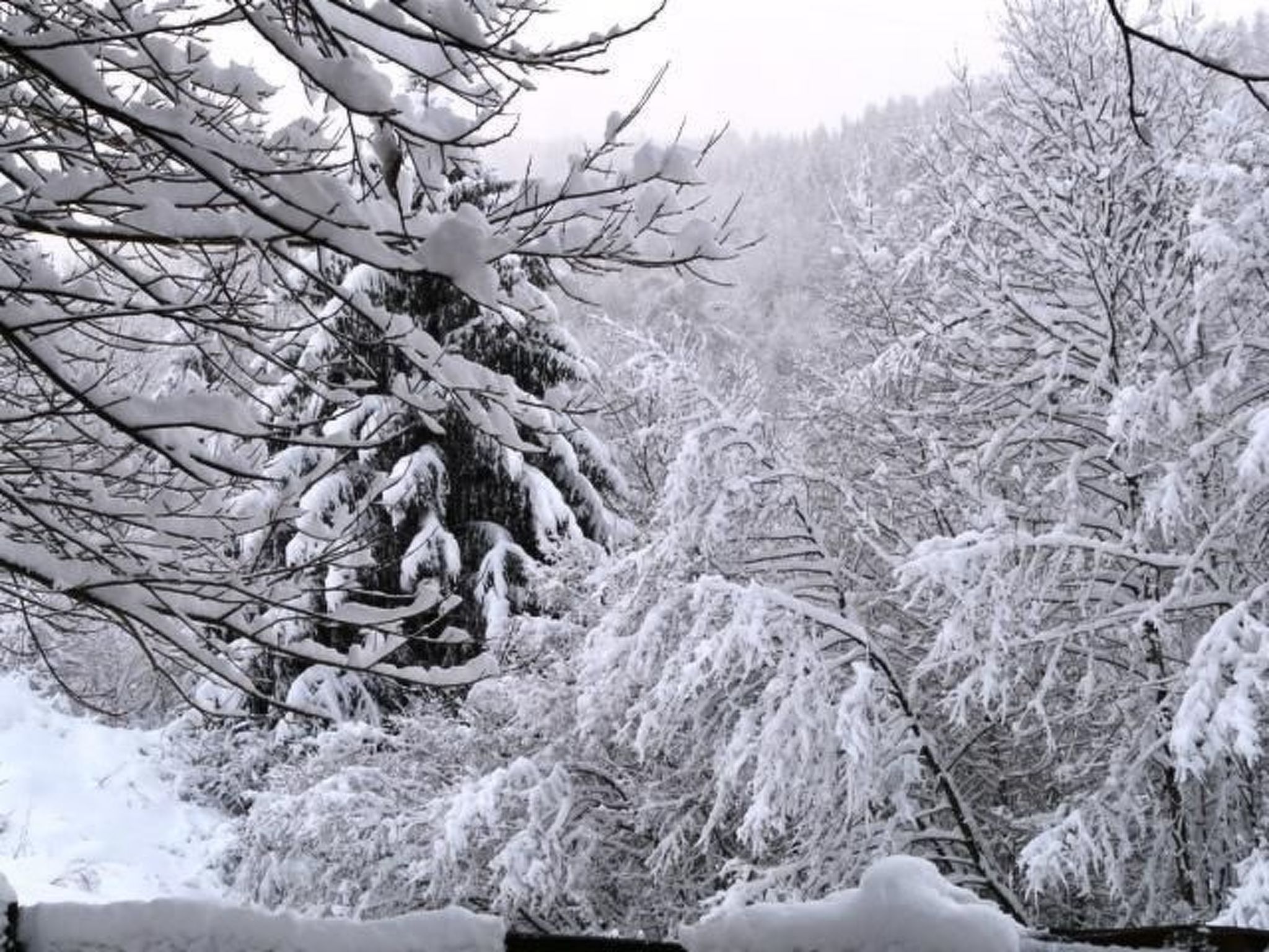Ferienhaus "Les Sapins Argentés" (Die silbernen Tannen) - Image-tags.info
