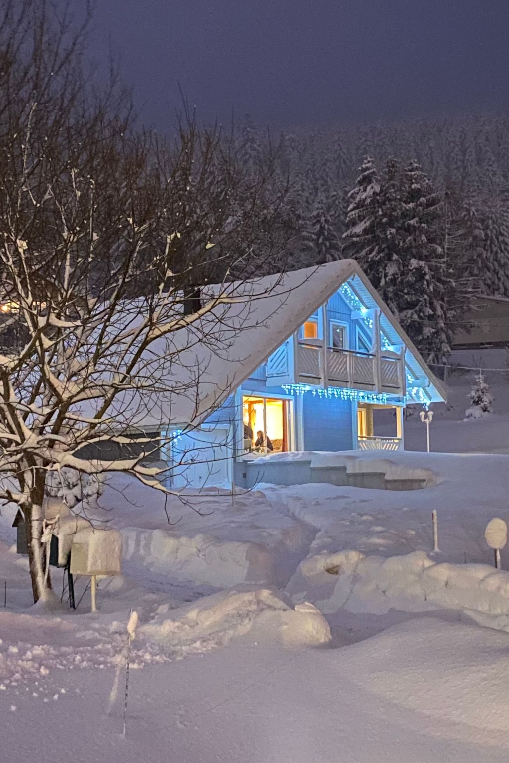 Chalet "Le Flocon Bleu" mit Blick auf das Wasser-Image-tags.info